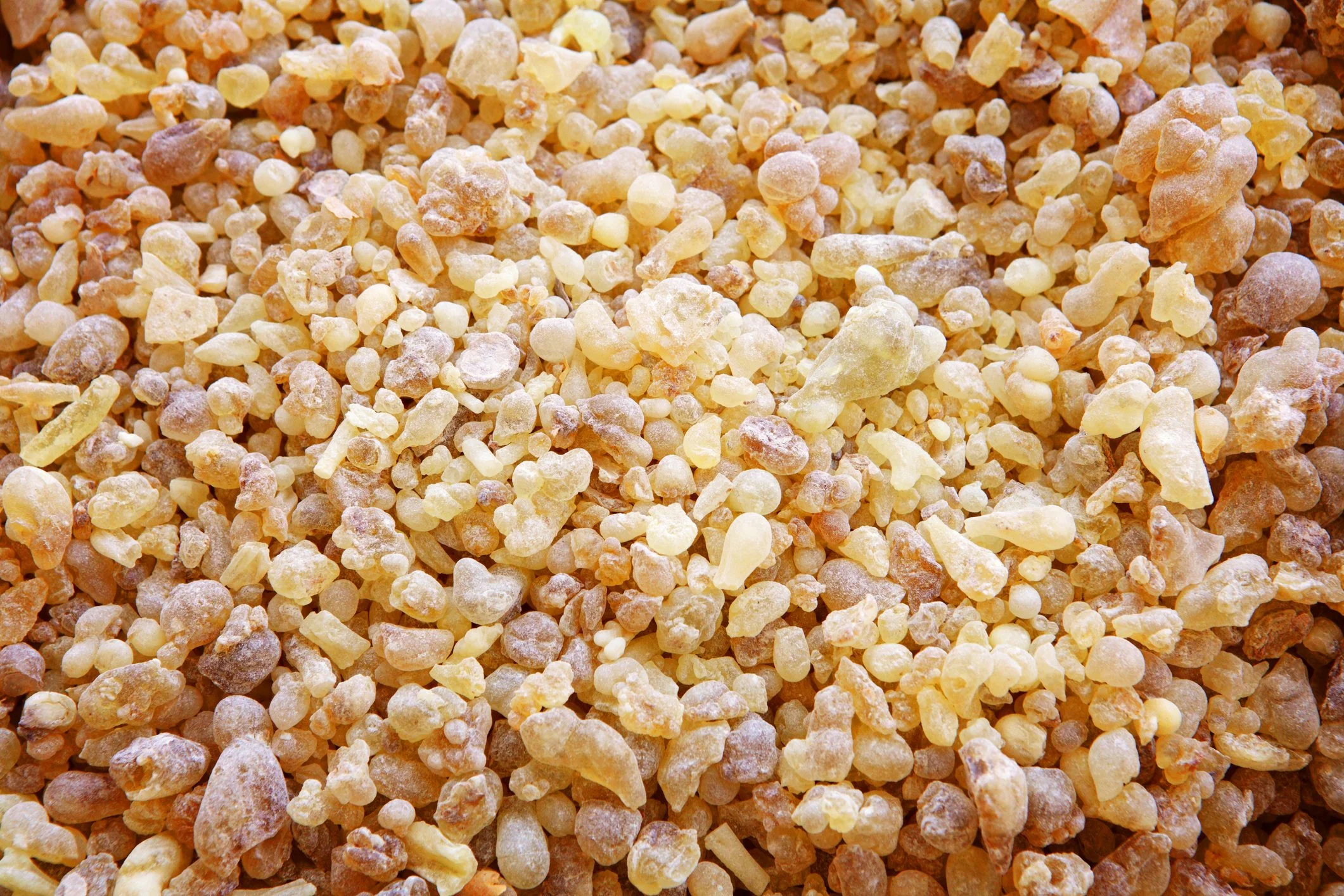 Close-up view of small, irregularly shaped luban or frankincense