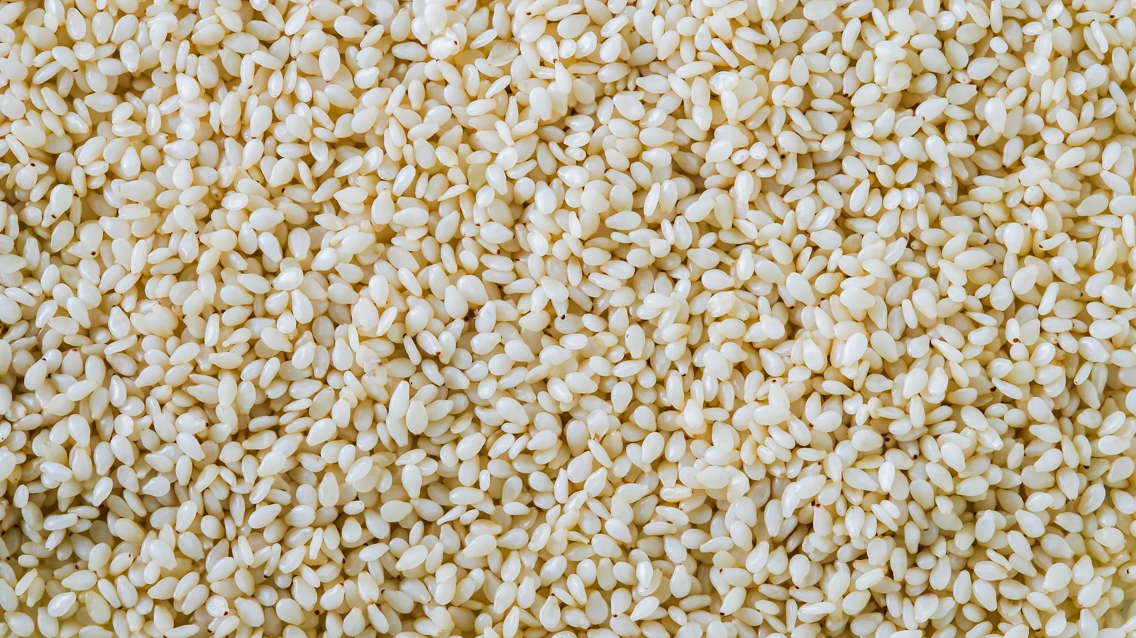 A close-up view of a large number of small, off-white sesame seeds.