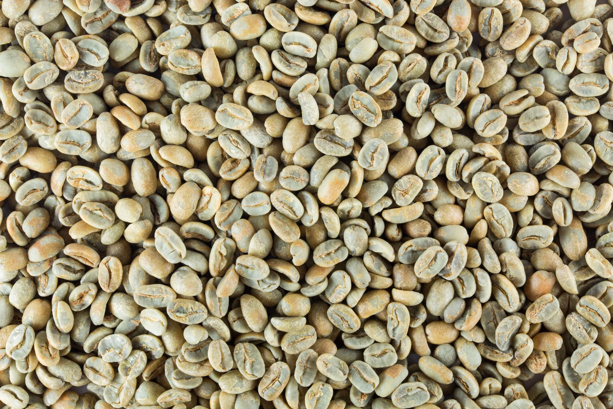 Close-up of green unroasted coffee beans.