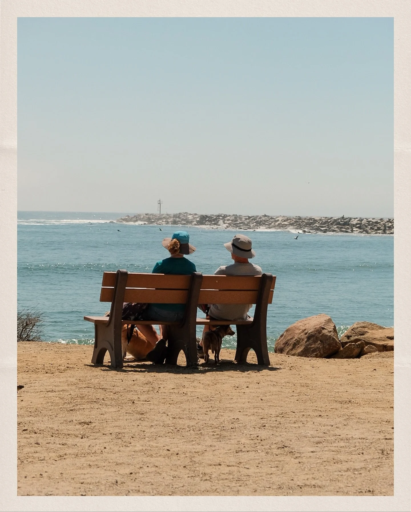 california coast 

#california #coastal #fujifilm #photography