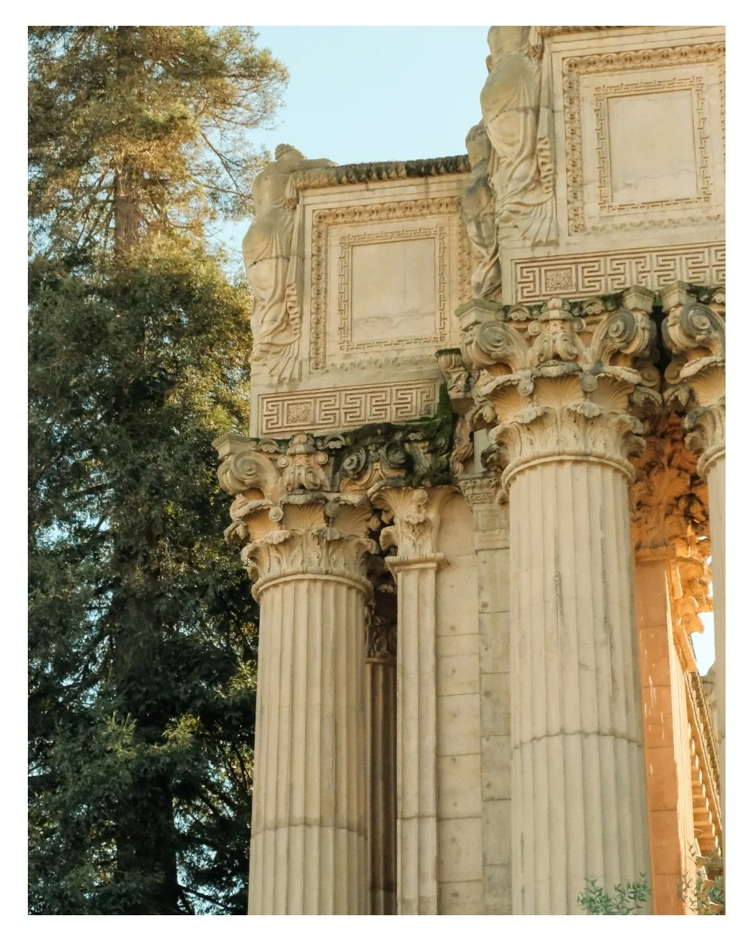 Place of Fine Arts 🏛️

#Fujifilm #sanfransisco #film #fujixseries #california