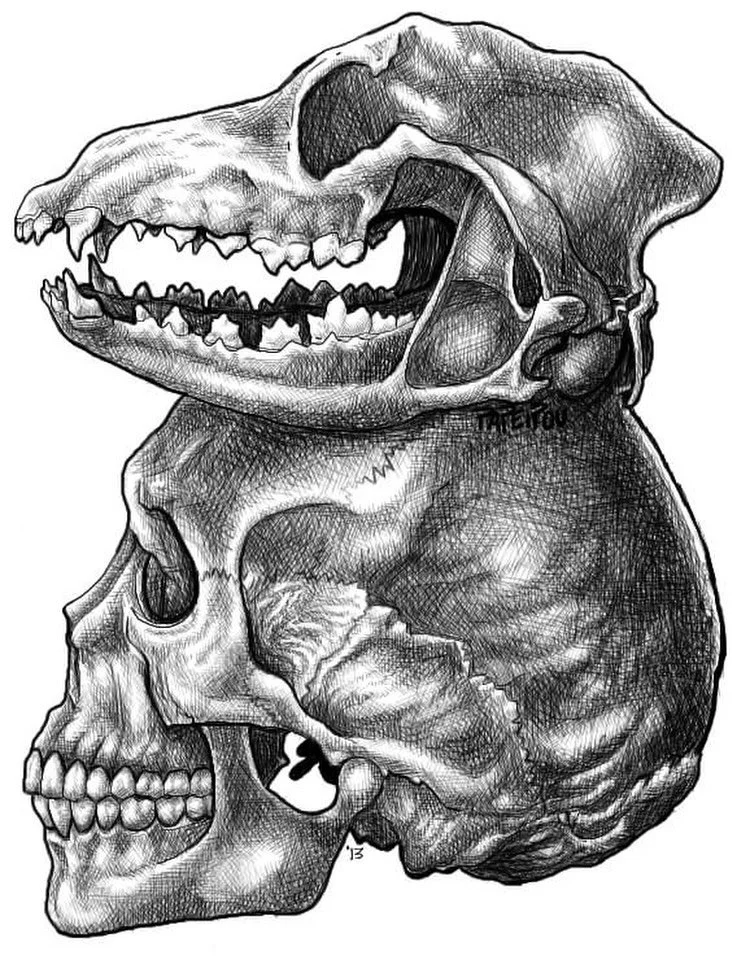I have been too long without artwork, so here is a piece from 2013 of one of my character&rsquo;s skulls. I called her Dog Head Girl for a long time, but she has a name now, 12 years later.