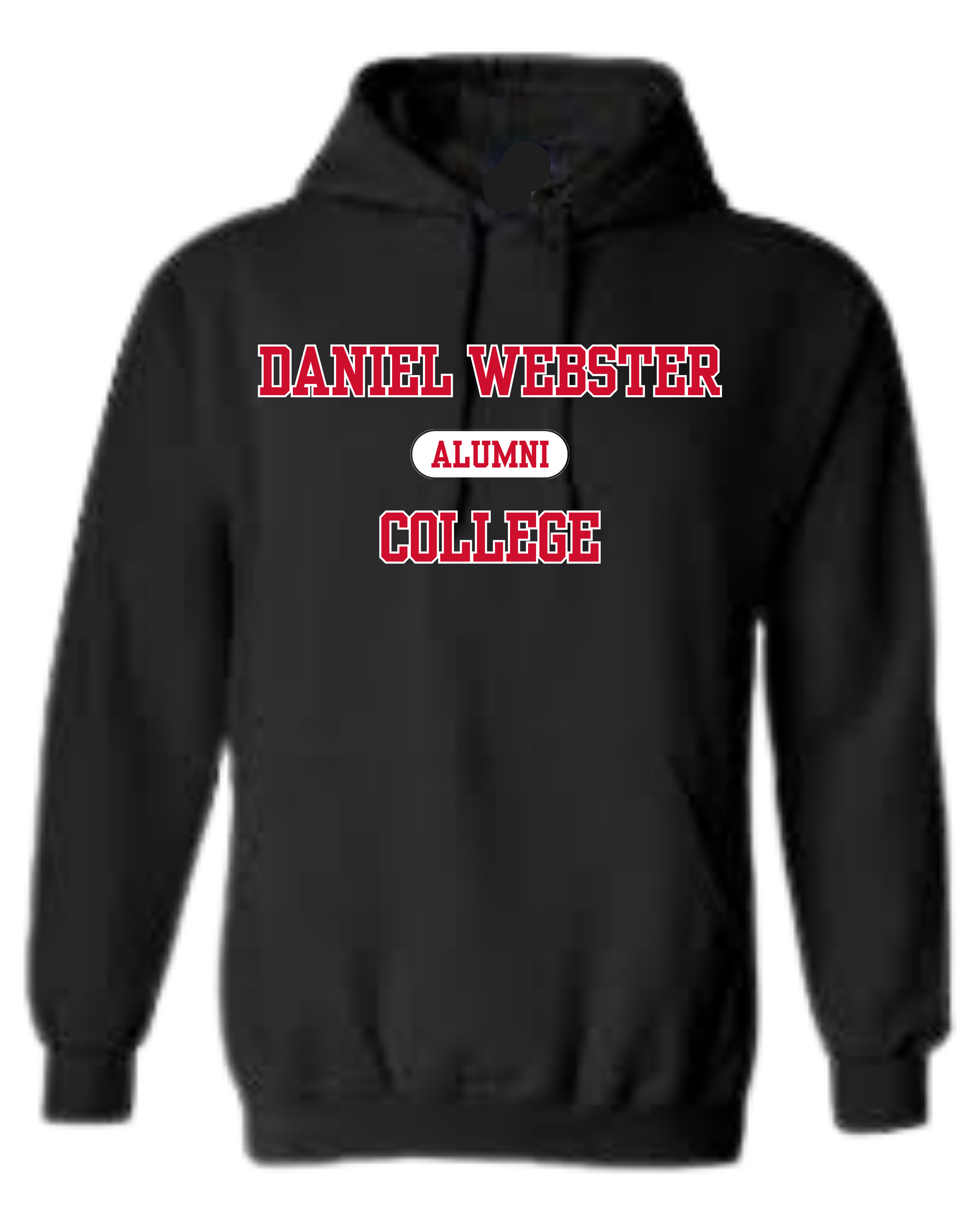 Daniel Webster Planes-5.png