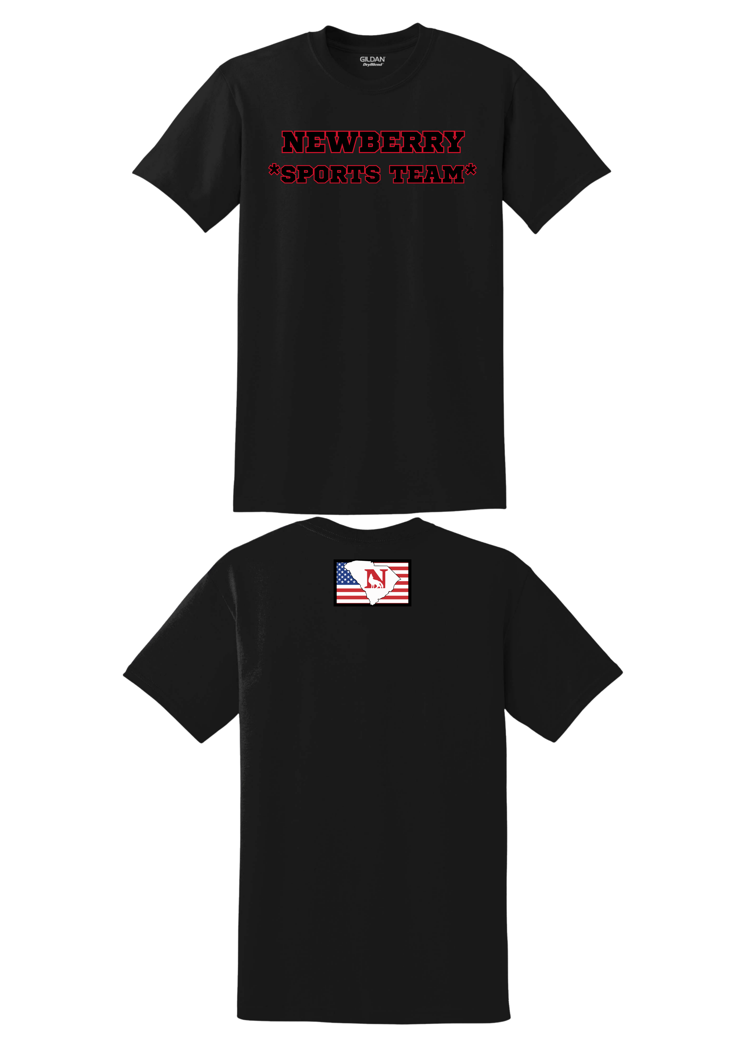 Newberry Designs on Shirts.png