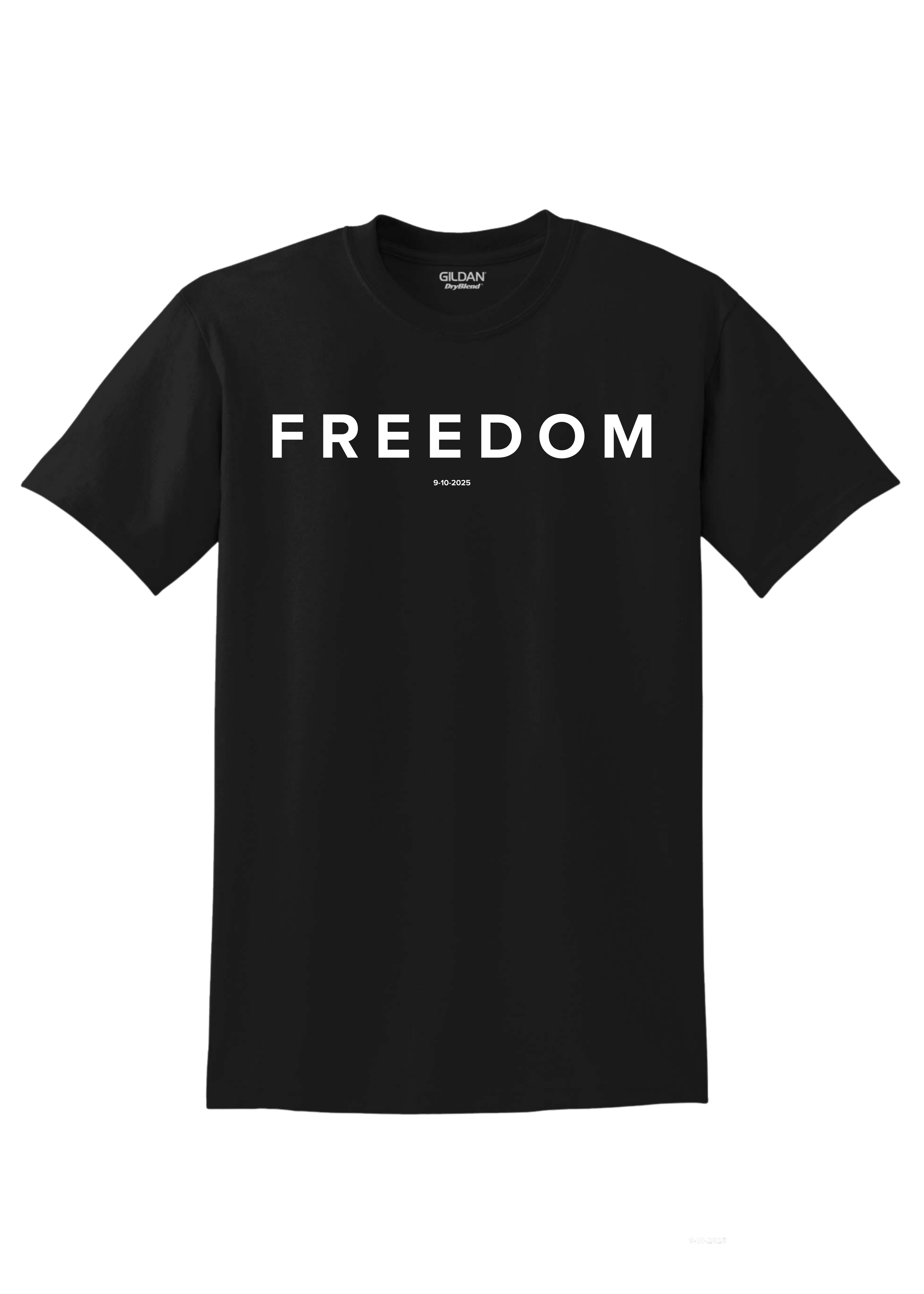 Patriotic Designs on Shirts.png