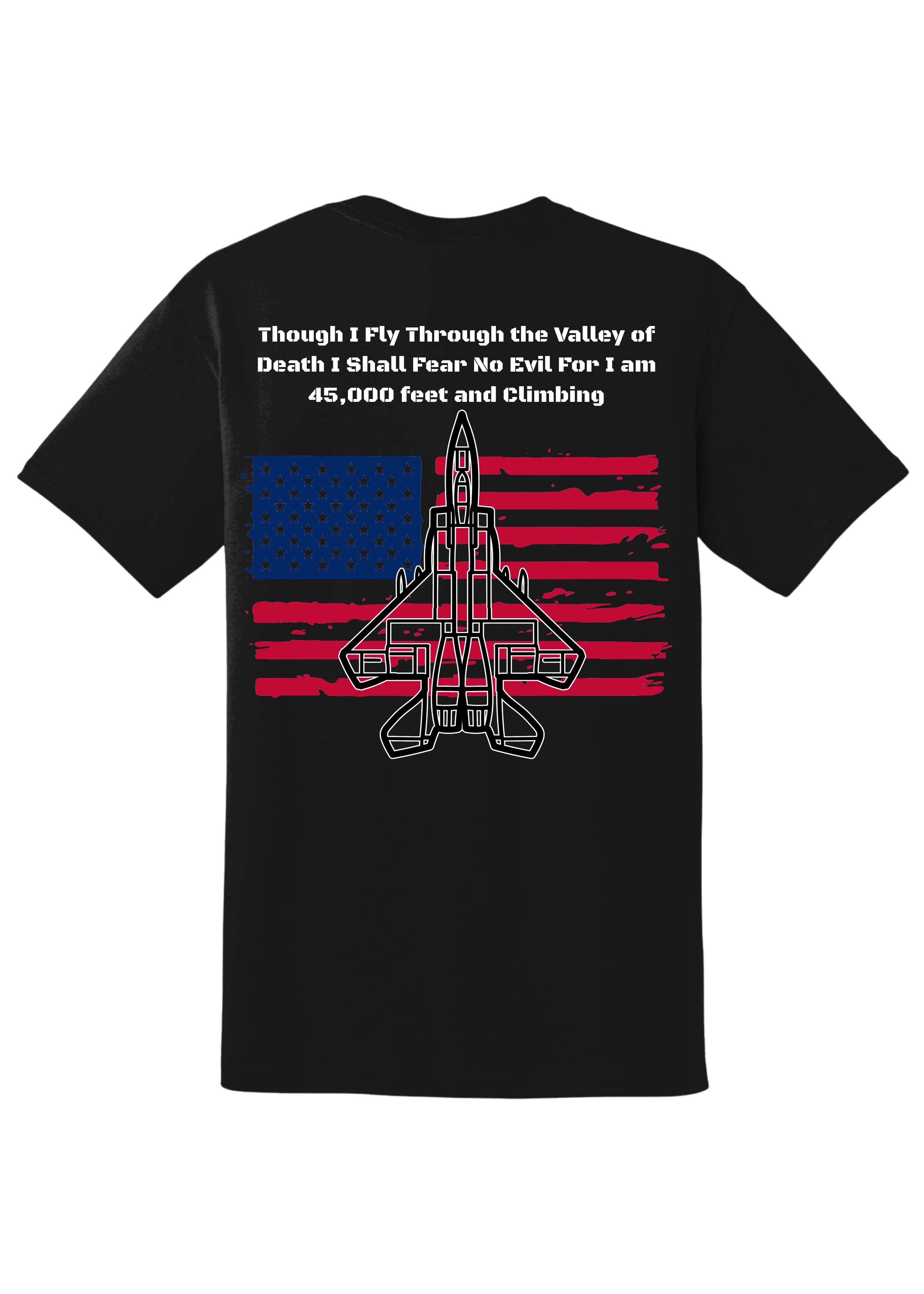 Patriotic Designs on Shirts (1).png