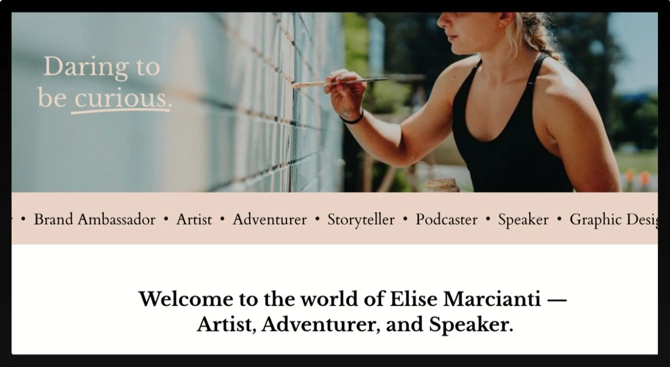 Artist Website Image