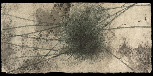 "Dandelion", Relief, transfer, monoprint,
9.5" x 20.5"