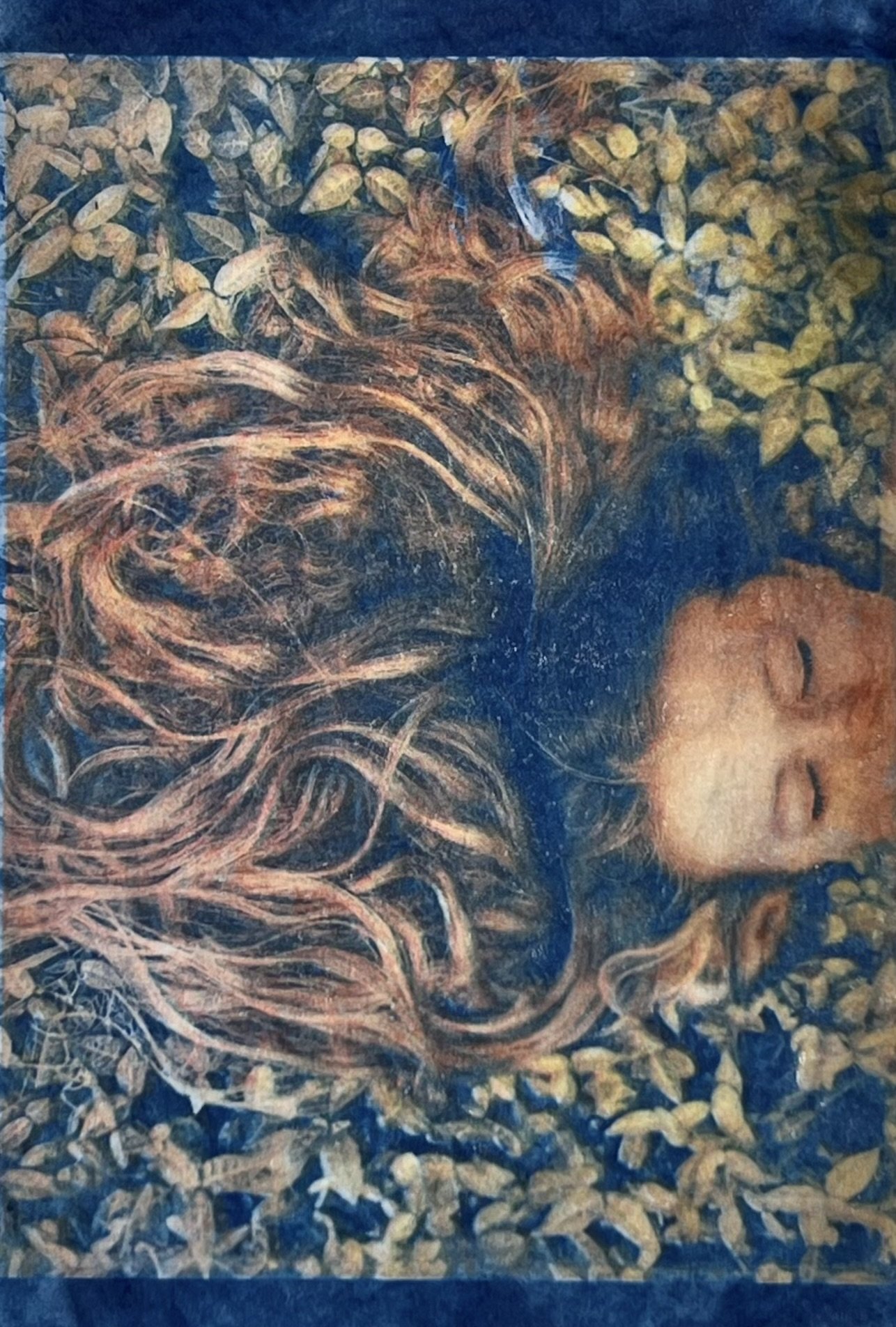 "Hair Colorized", Ware cyanotype + inkjet on vellum, 8" x 10"