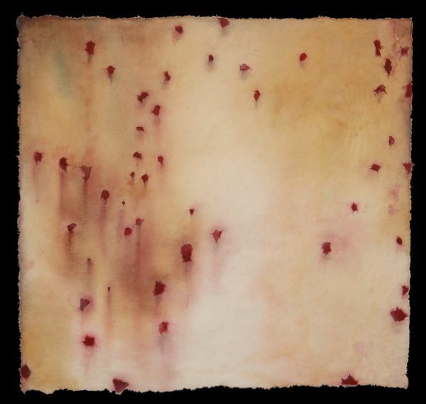 "Evidence of Time Il", Pigment and chine colle on kozo, 18" x 17"