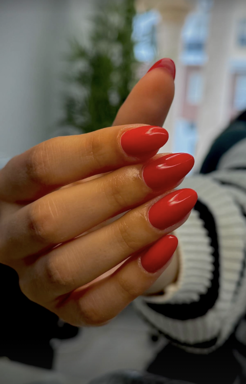 vermelho Shirlei Lage — nossa marca registrada.