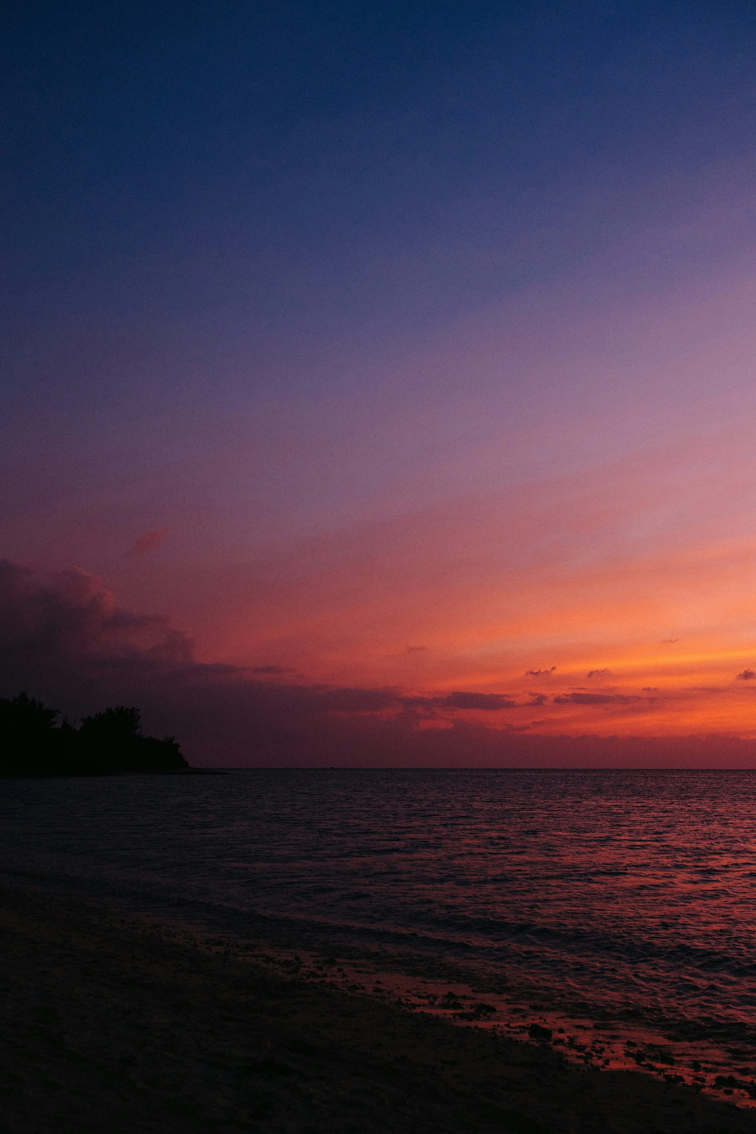 Sunset over the ocean with colorful purple, orange, and pink hues in the sky and silhouettes of trees on the shoreline.