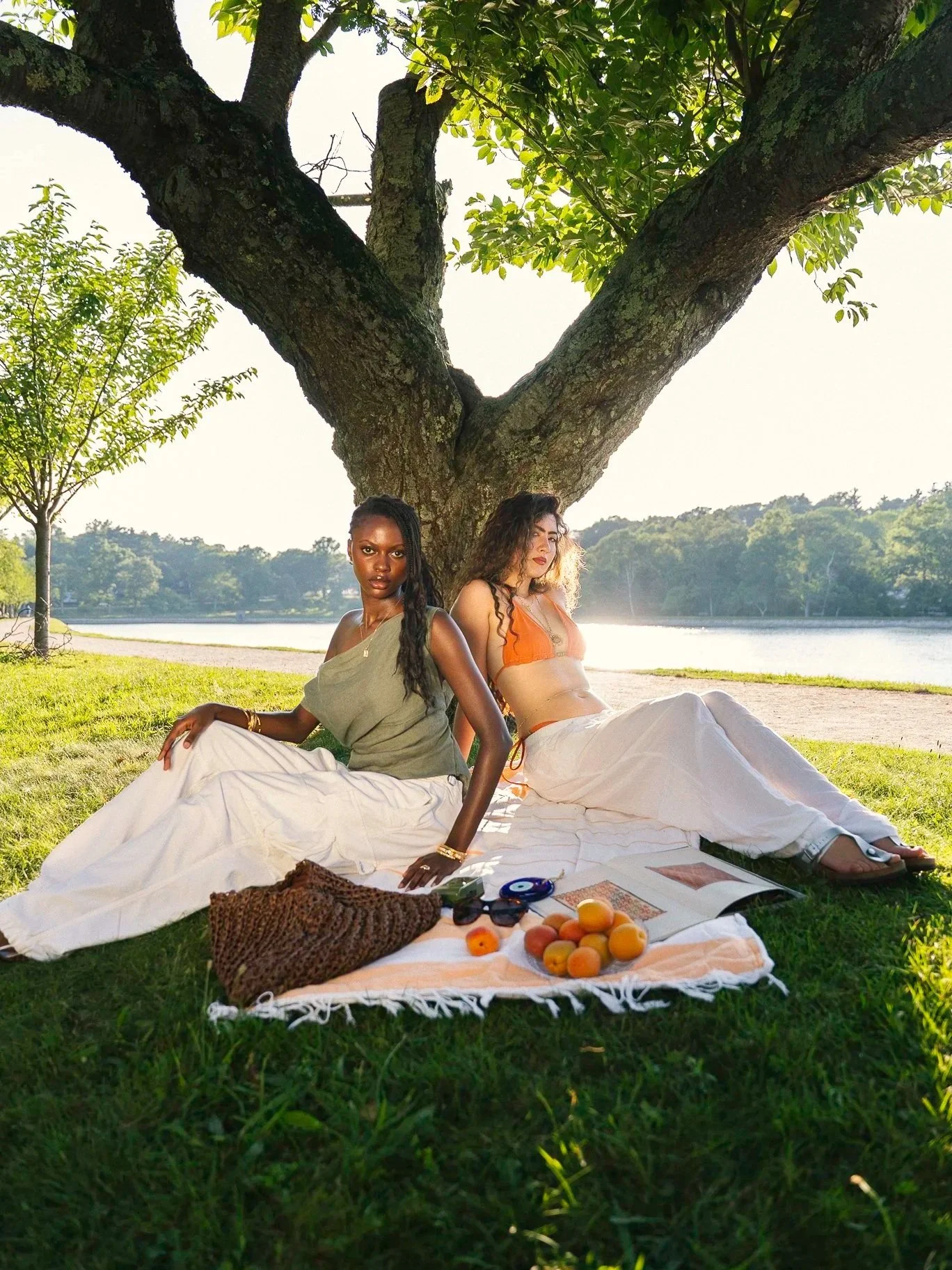 Under the Apricot Tree