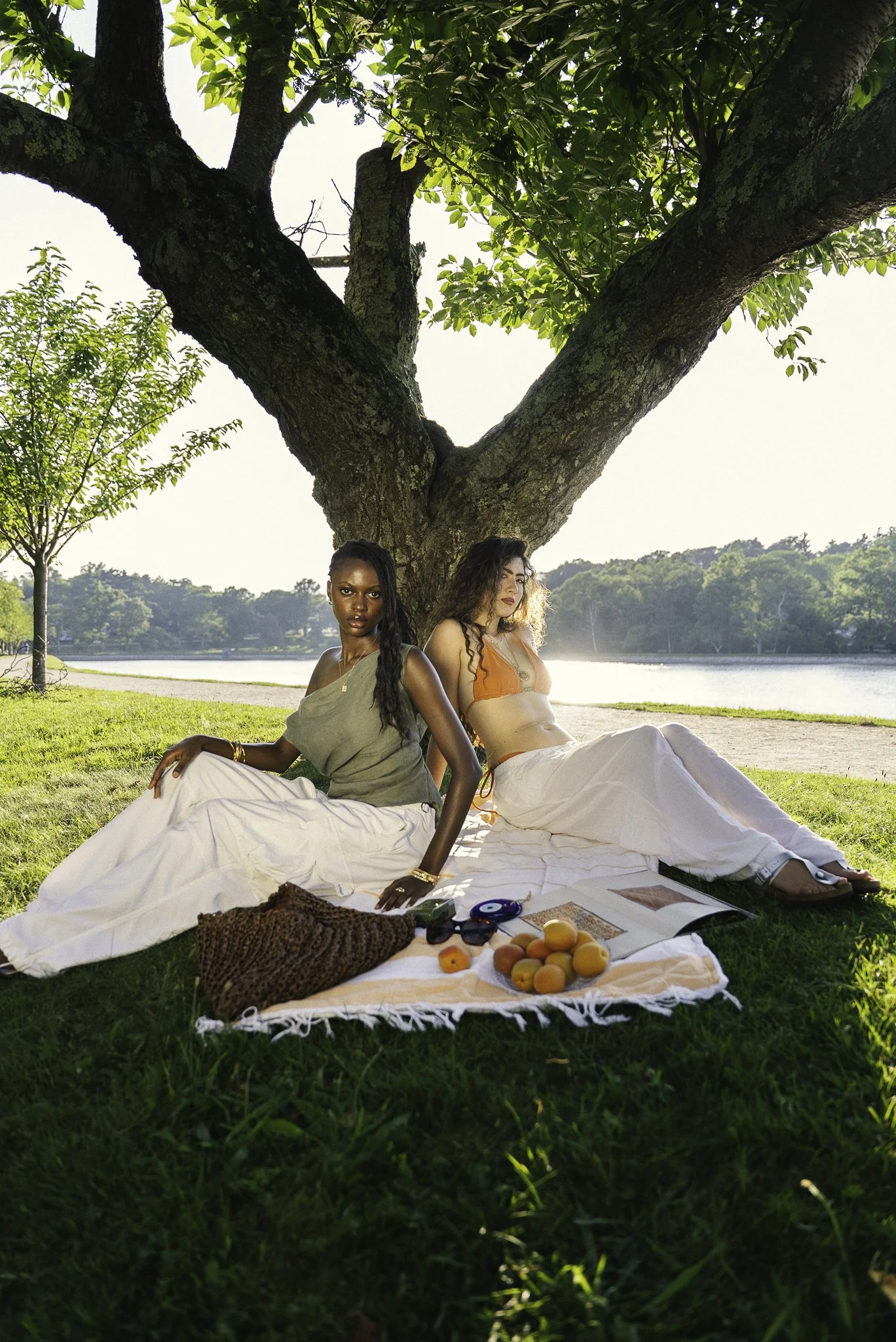 Under the Apricot Tree