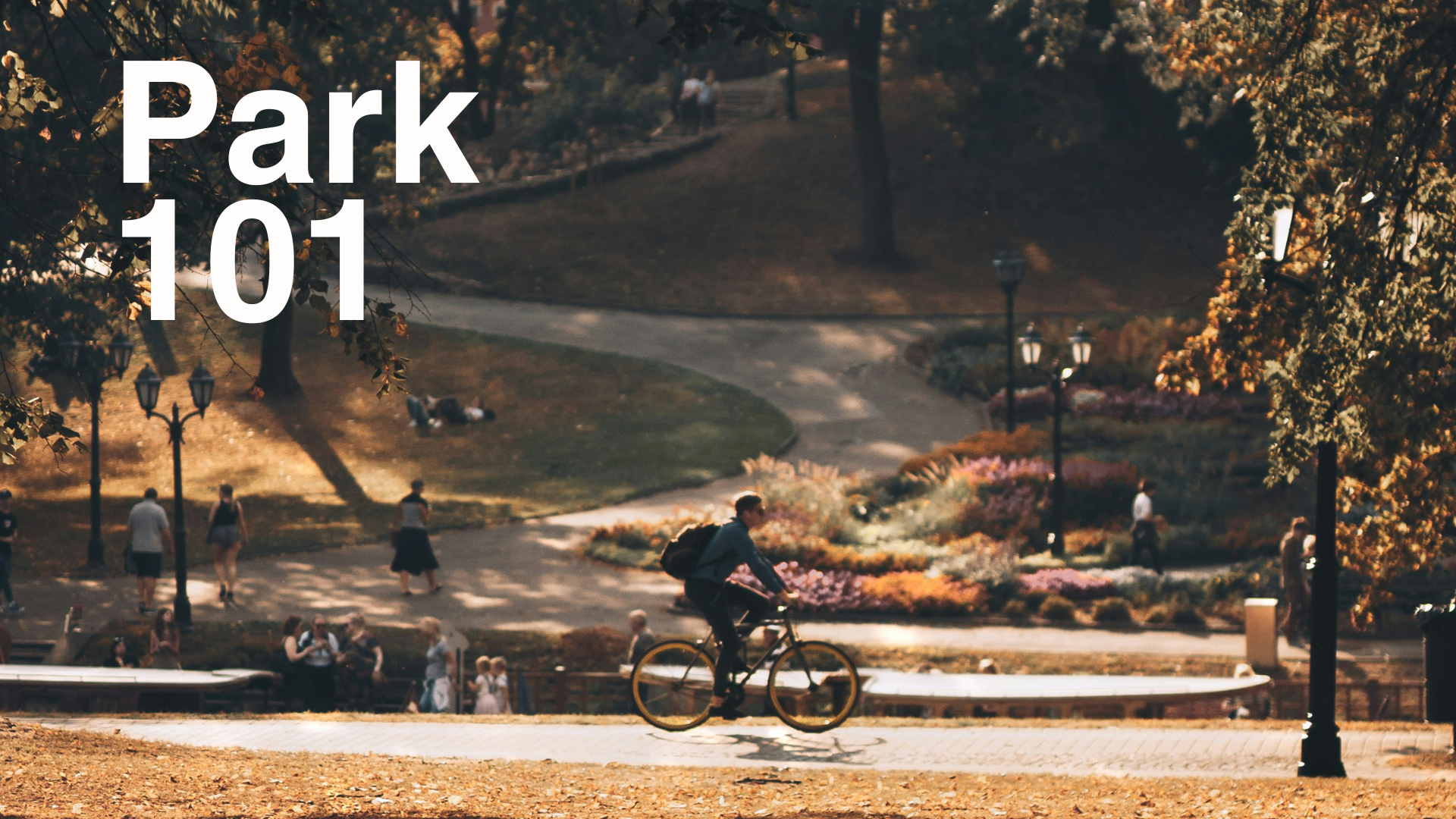 Park 101