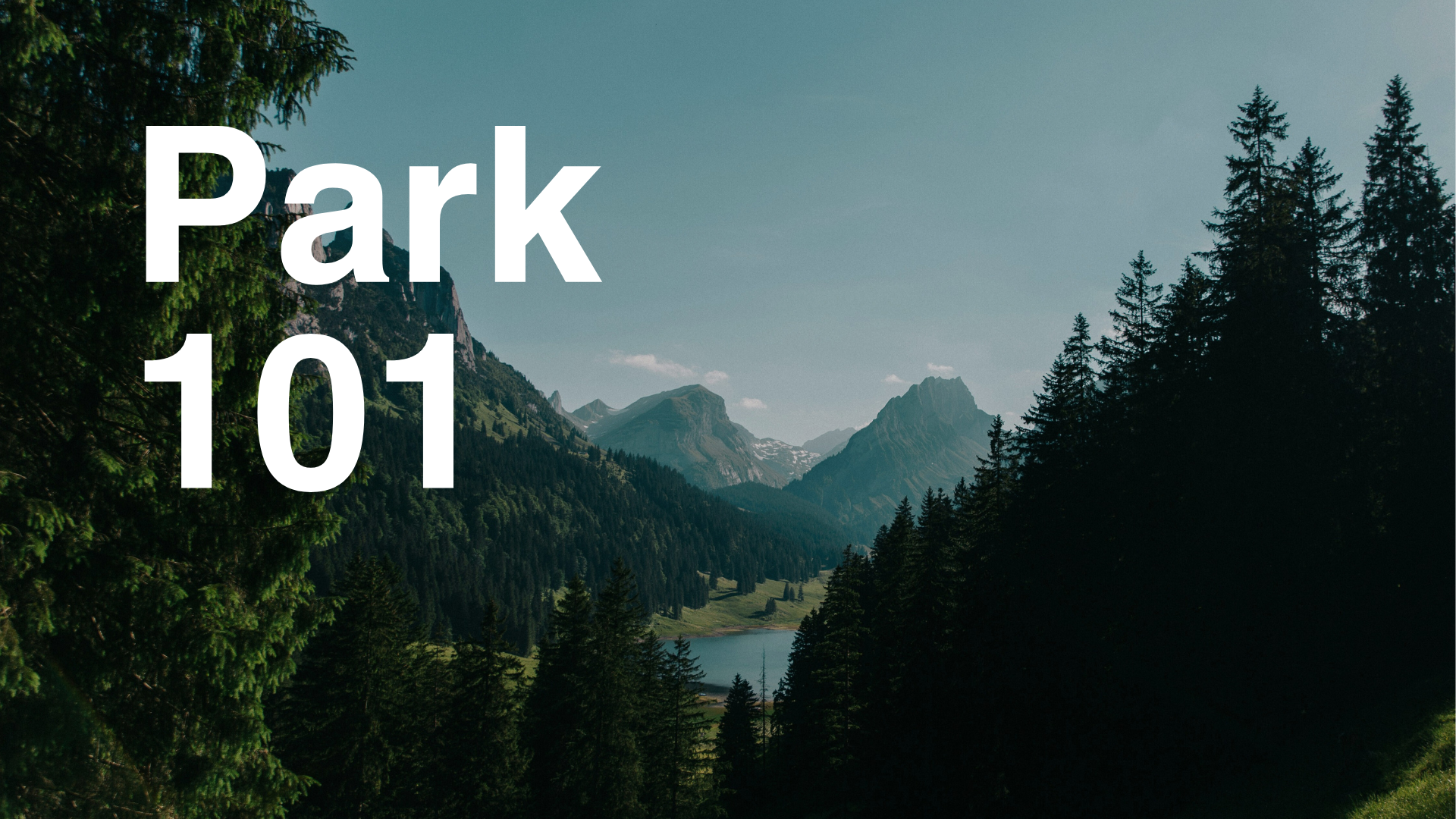Park 101