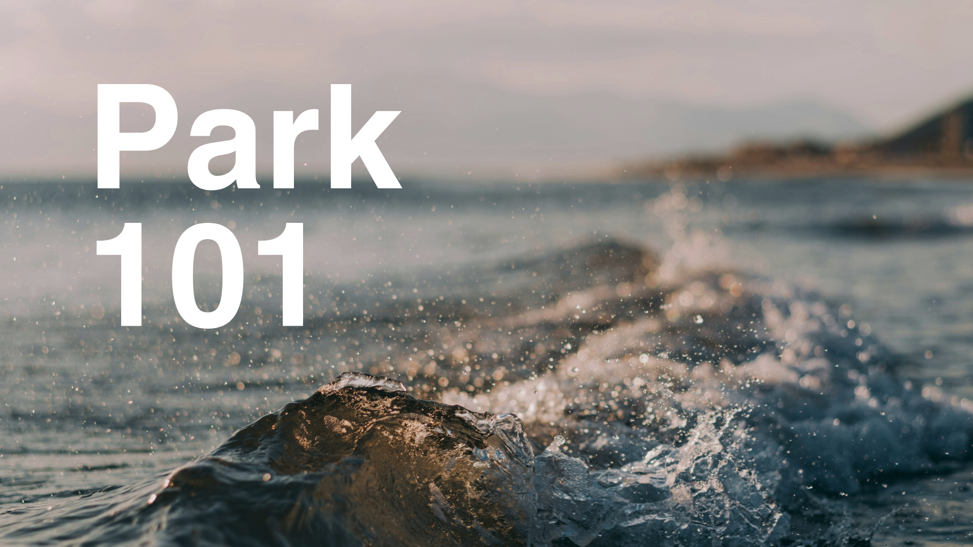 Park 101