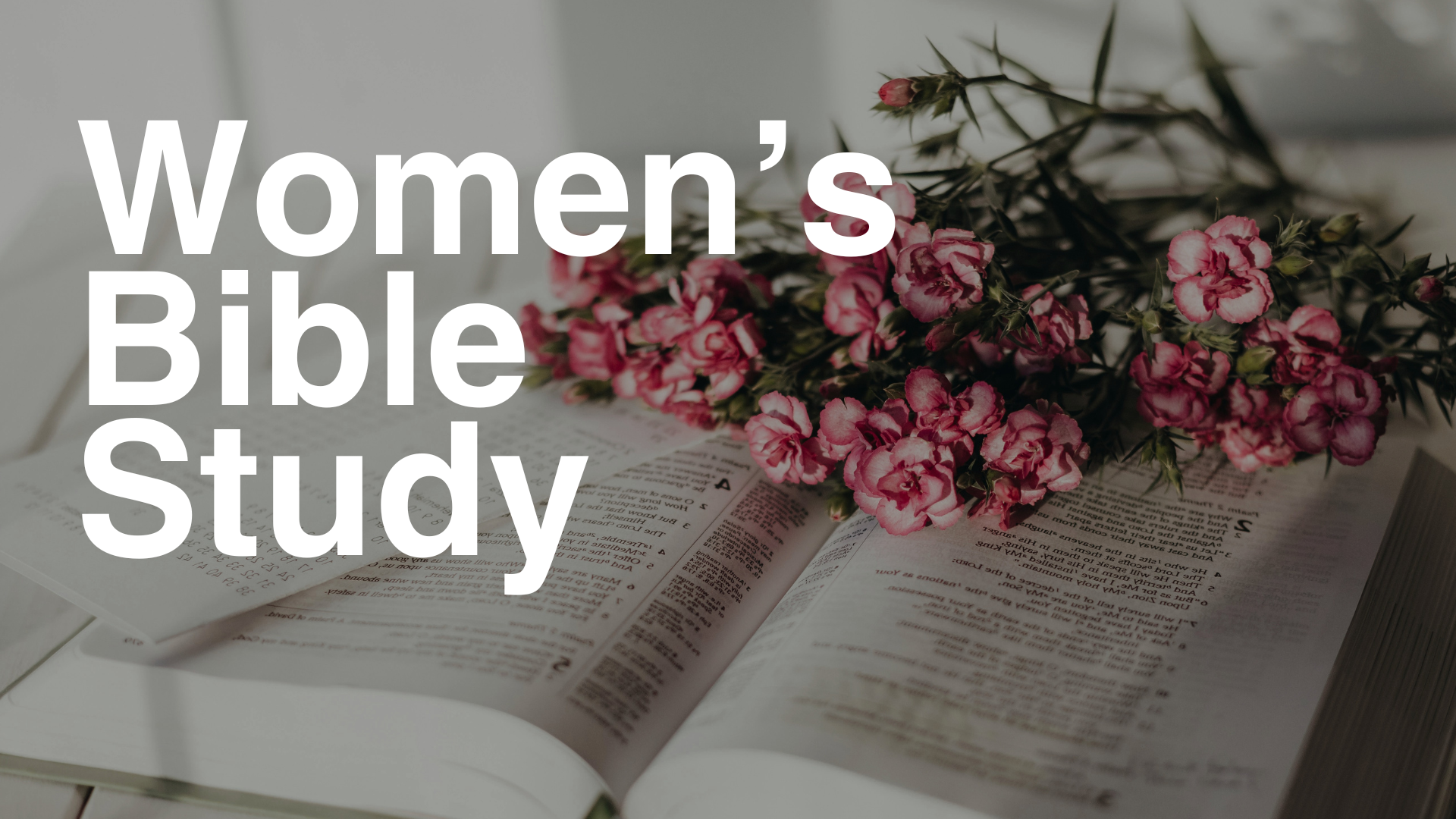 Women's Bible Study