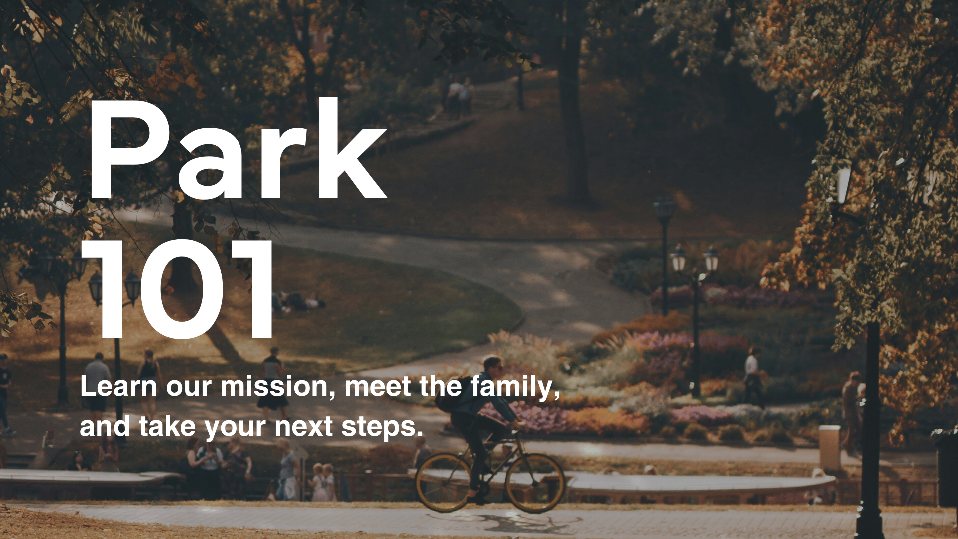 Park 101