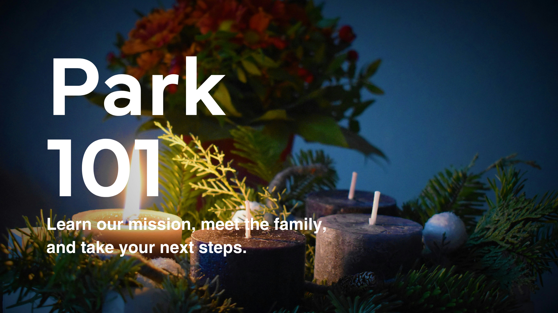 Park 101