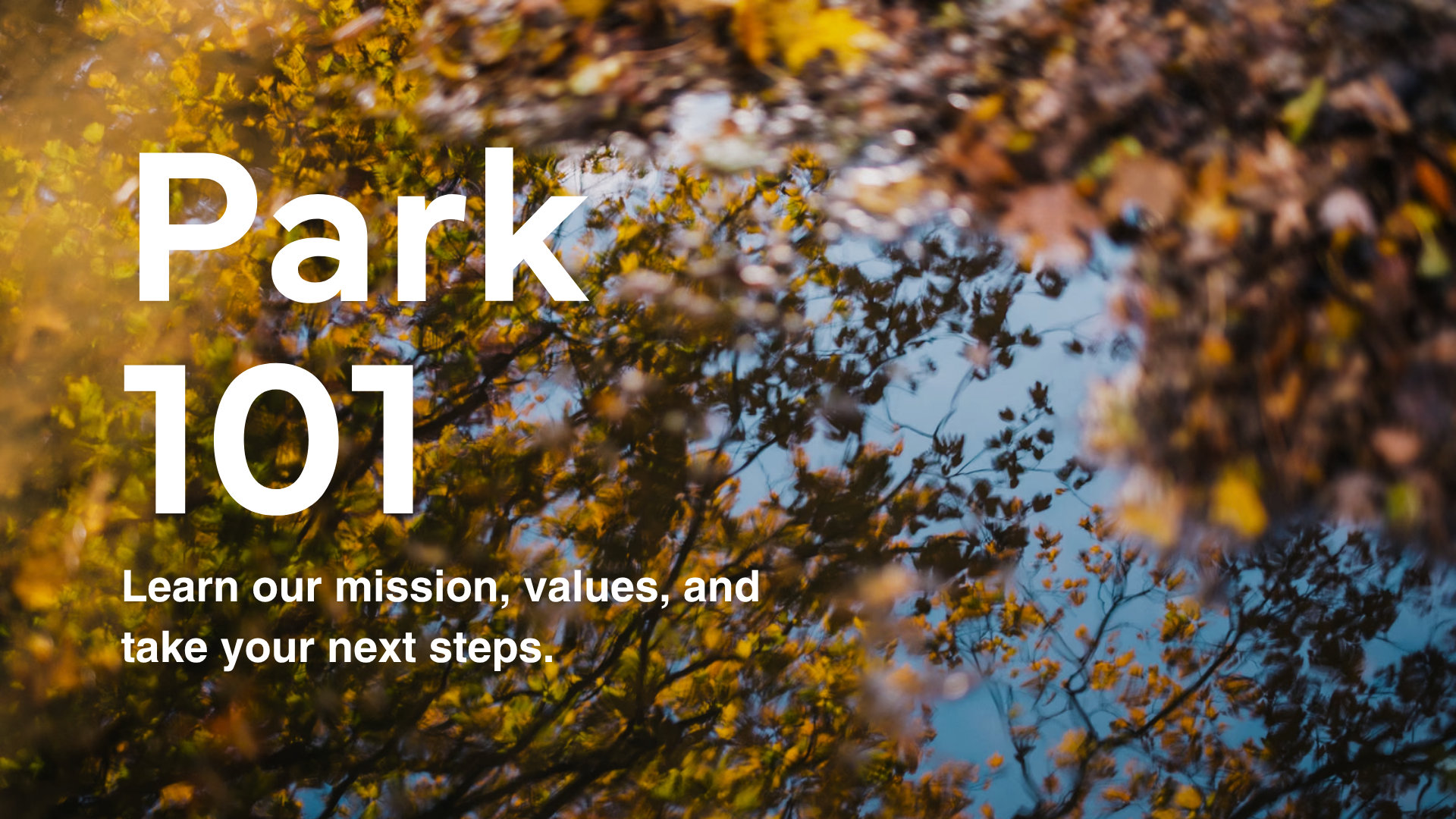 Park 101
