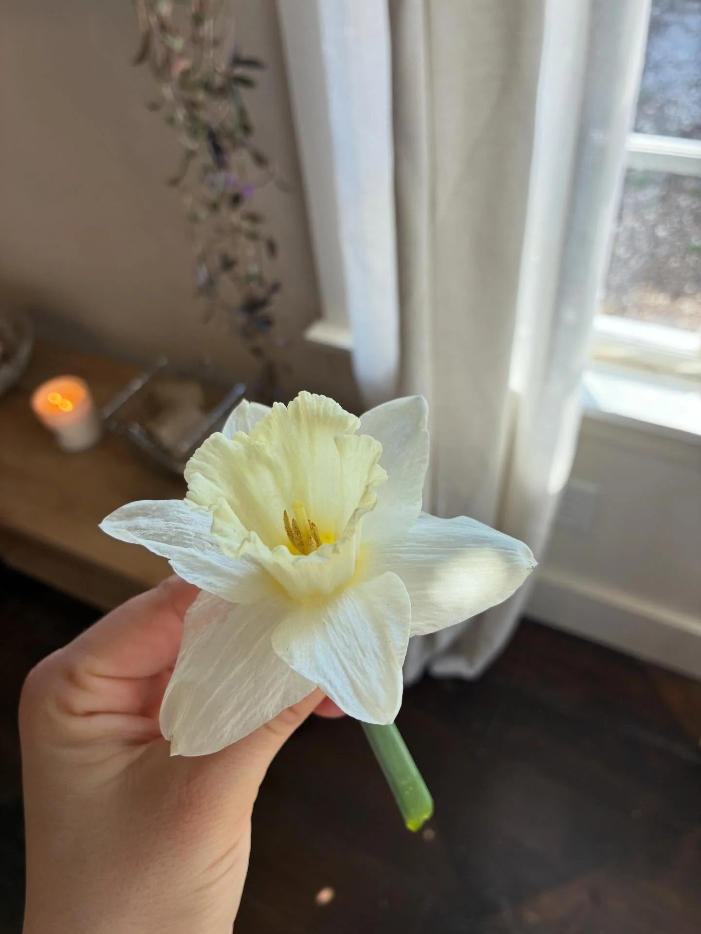 March 🌼✨🫶🏻🥕🐇