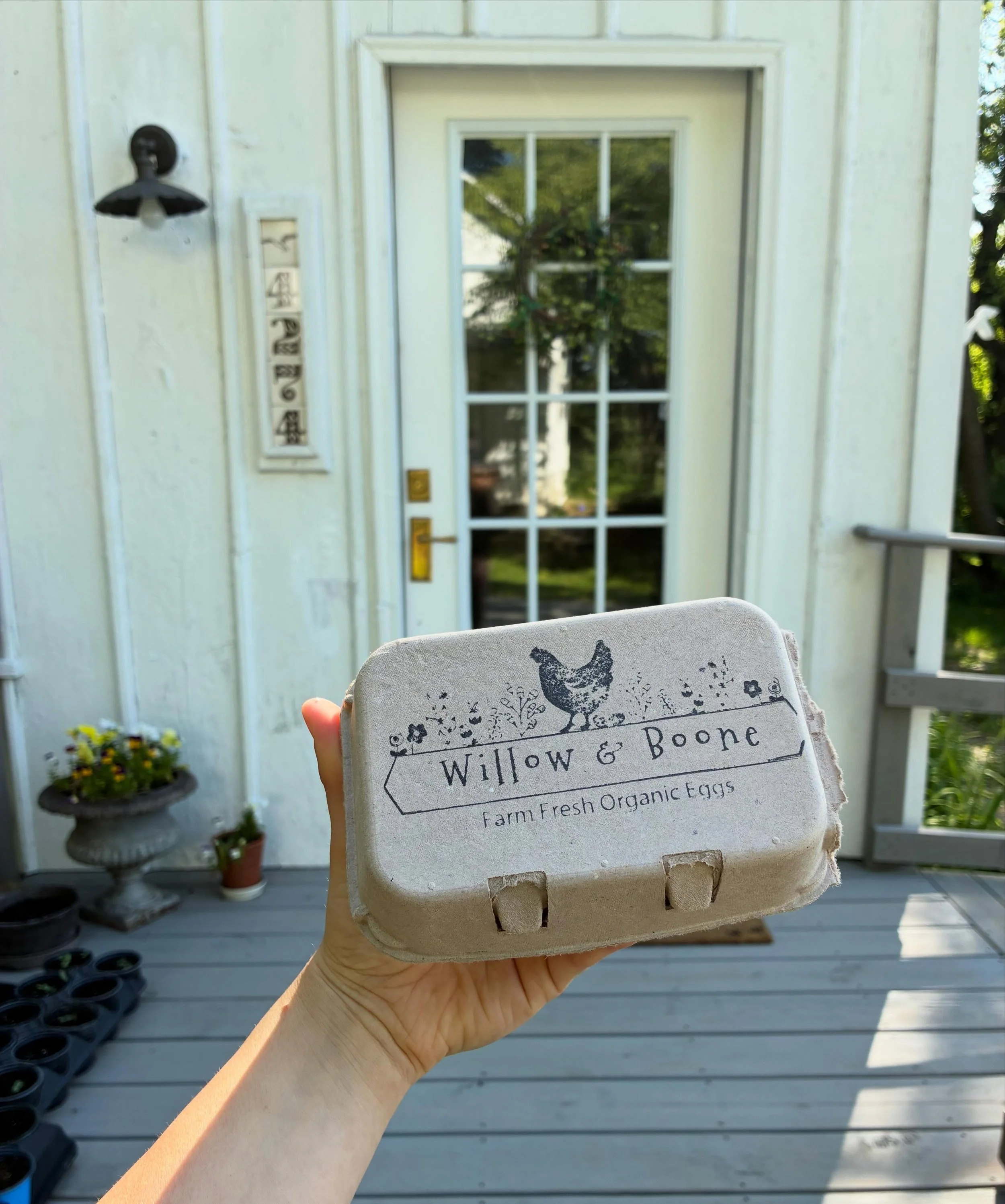 All Summer long we will be offering our Organic eggs by the half dozen to clients! You&rsquo;ll receive a text the morning of your appointment and you simply just reply if you want them set aside for you 🥚🐓 We&rsquo;ve added 3 chickens this Spring 