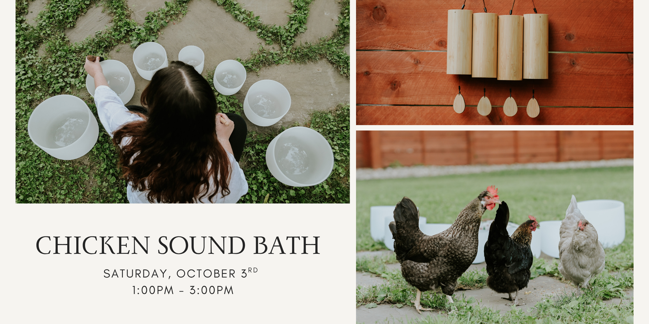 Chicken Sound Bath