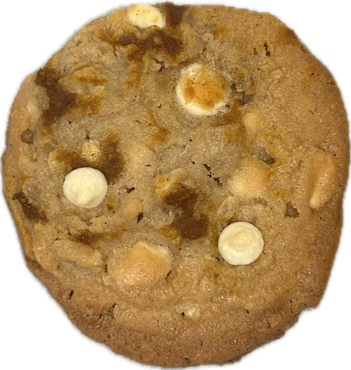 Pumpkin Pied Up.png