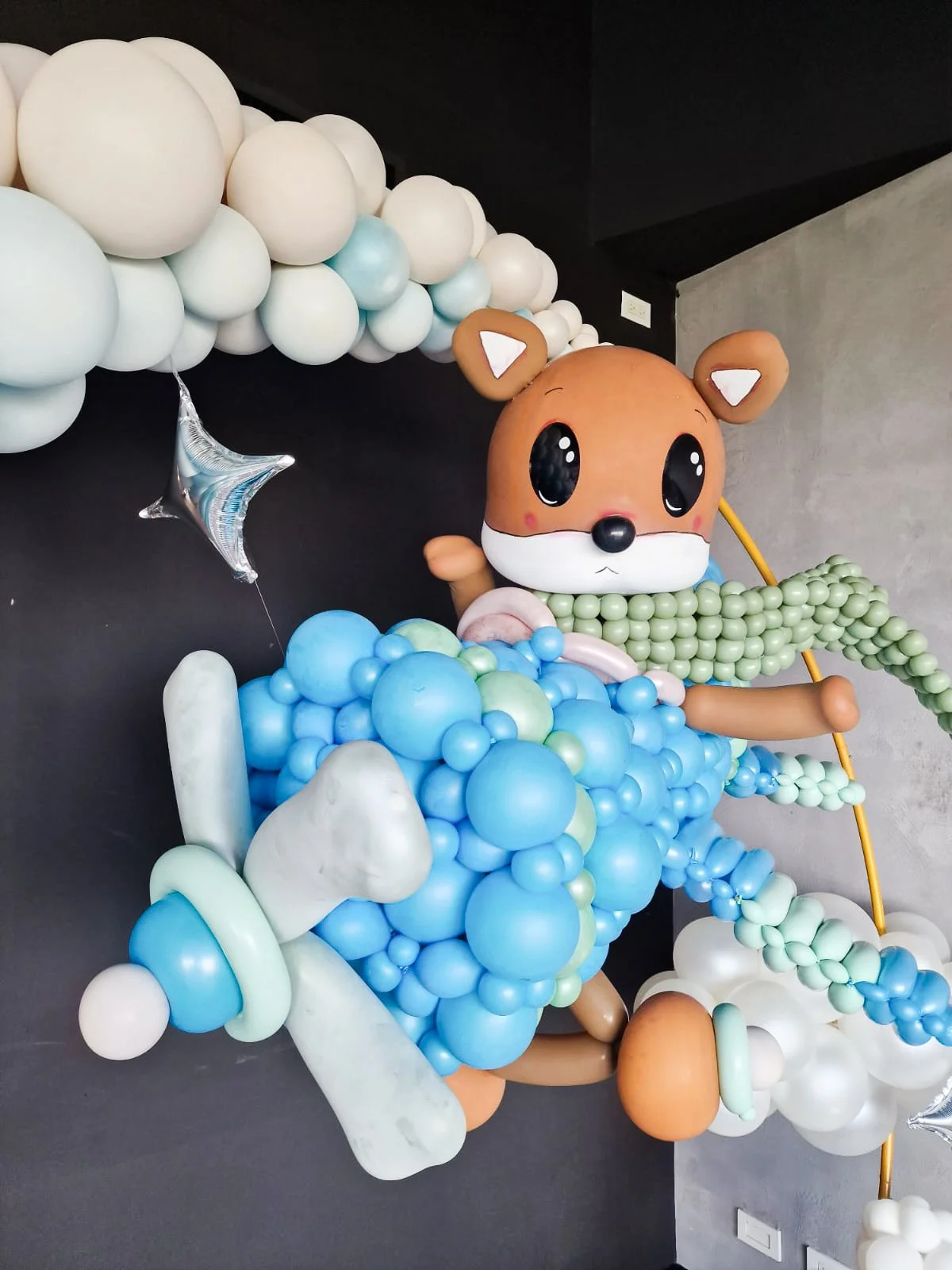 Foxy Pilot and Plane