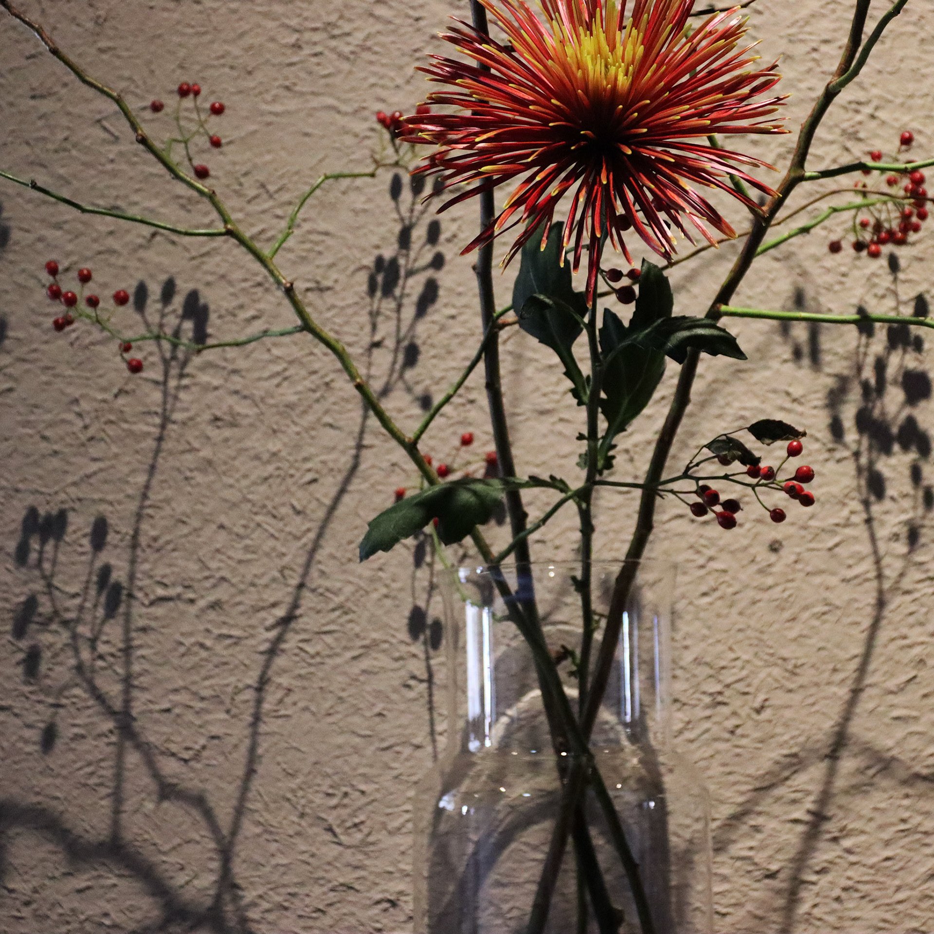 廊下空間に活けられた季節の花。自然光と壁の質感が影を引き立て、静謐な空気感を生み出しています。空間コンセプトに寄り添うビジュアル演出です。Seasonal flowers casting delicate shadows against the textured wall of “SOU.” The spatial direction embraces natural light and serenity, enhanced through thoughtful visual compositi