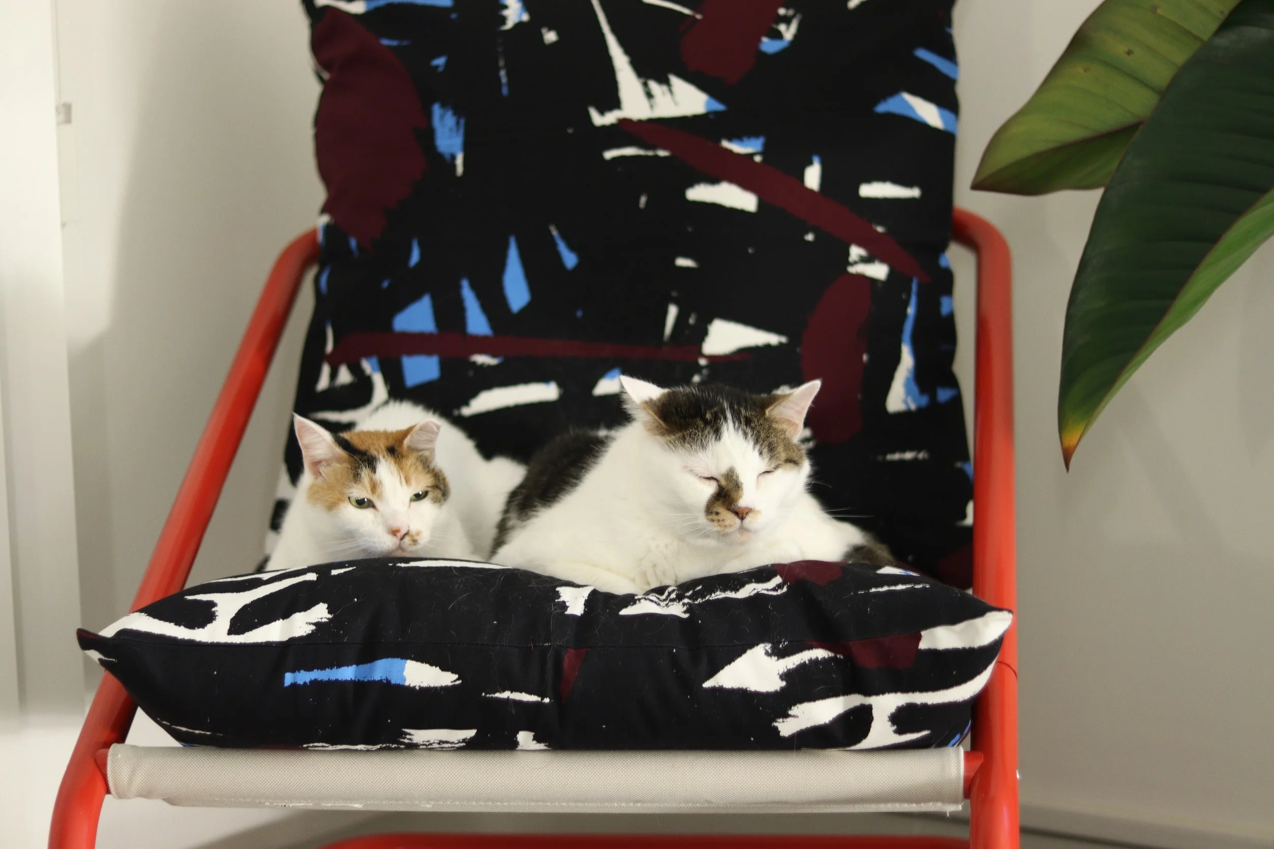 IKEAのÖNNESTADチェアに置いたASENDADAのオリジナルクッションの上でくつろぐ2匹の猫。