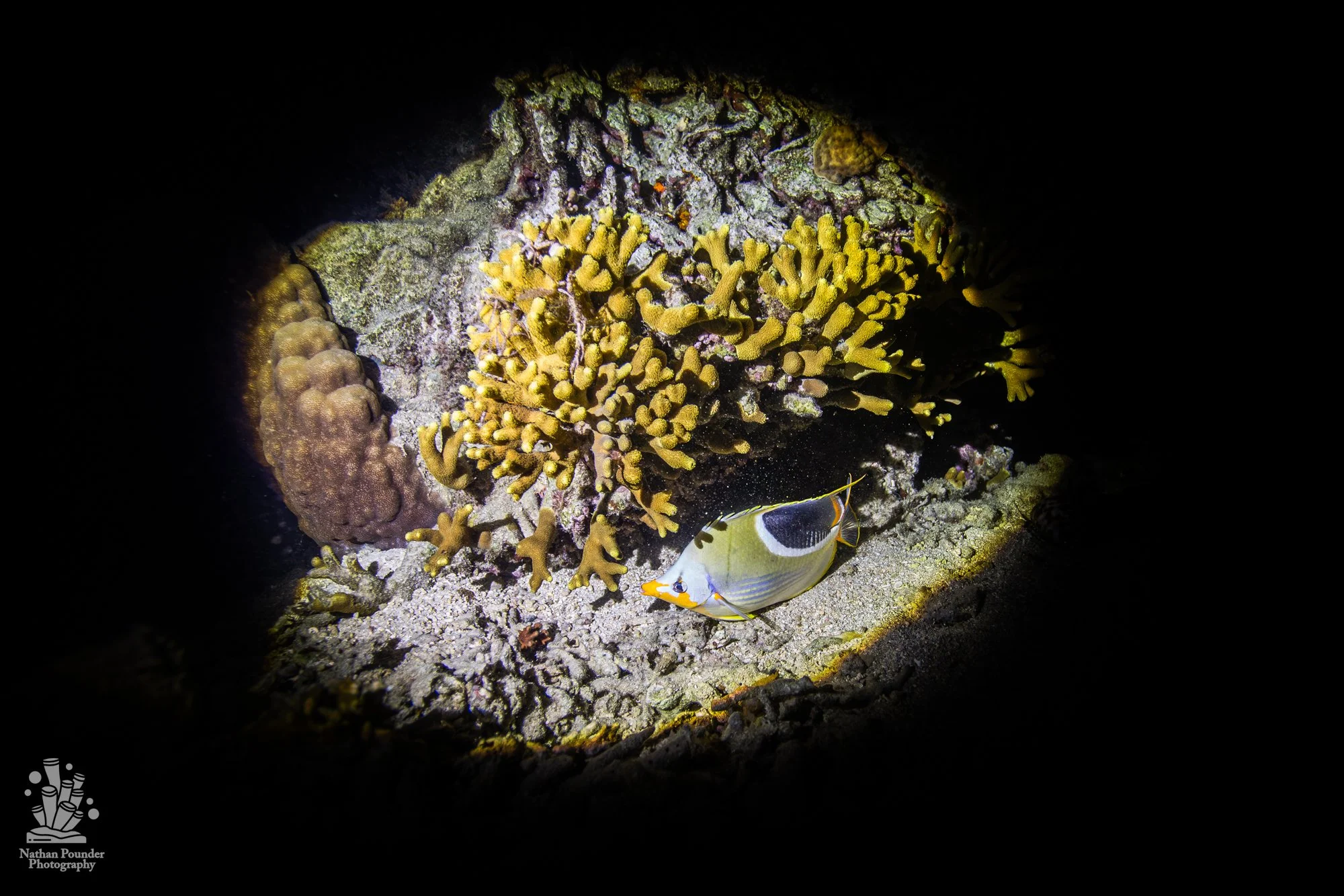 FIJI-31.jpg