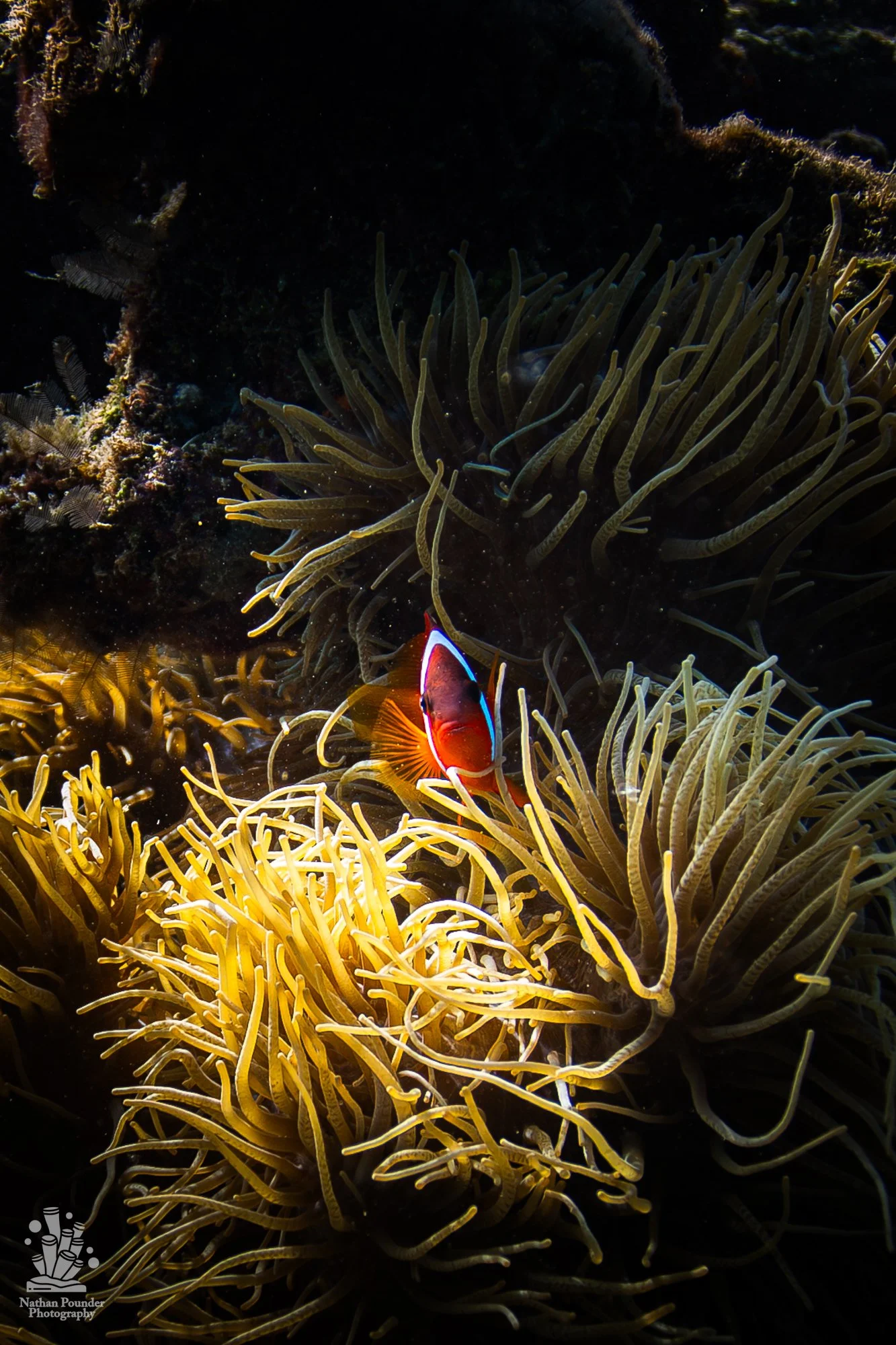FIJI-169.jpg