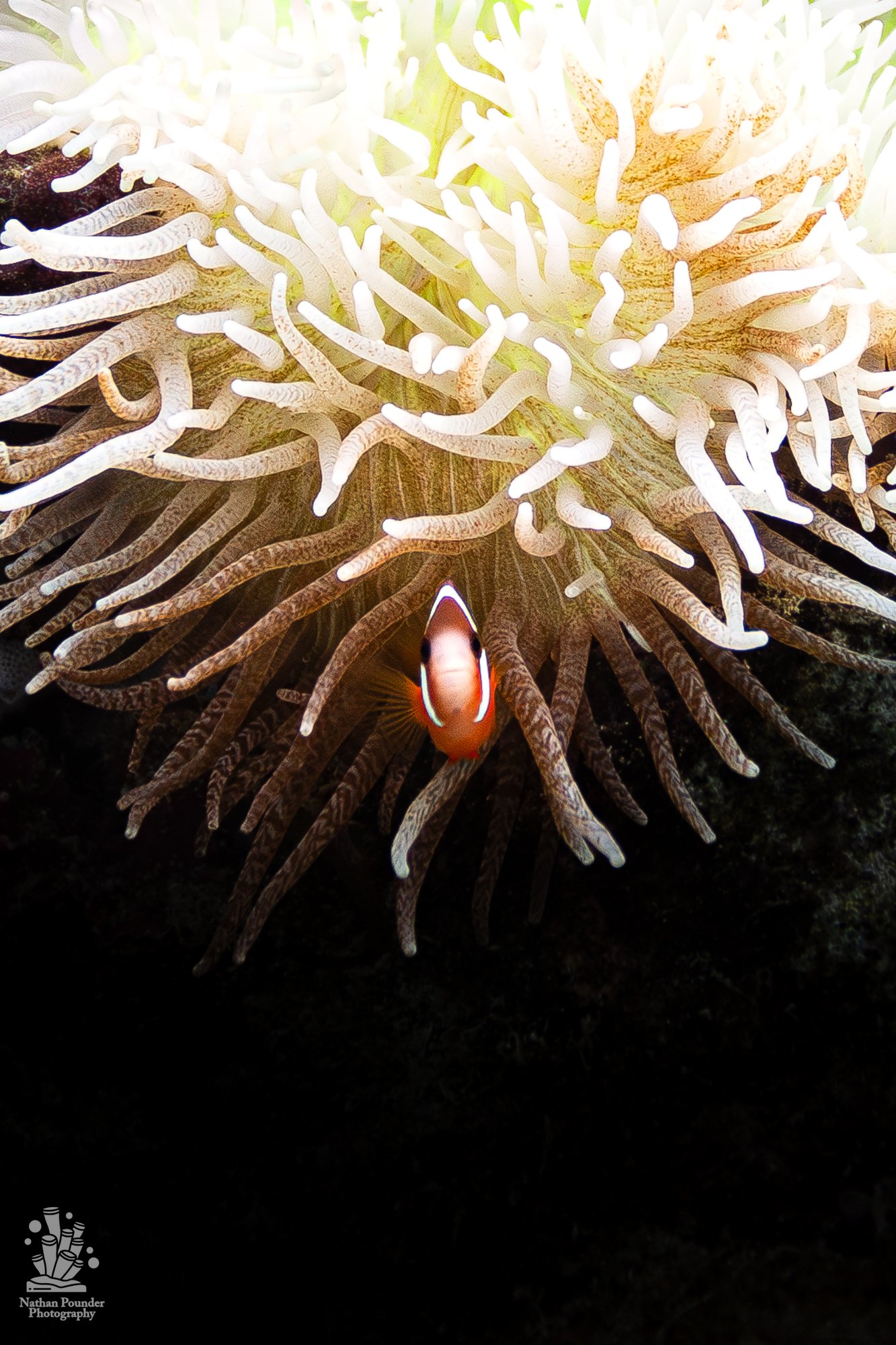 FIJI-152.jpg