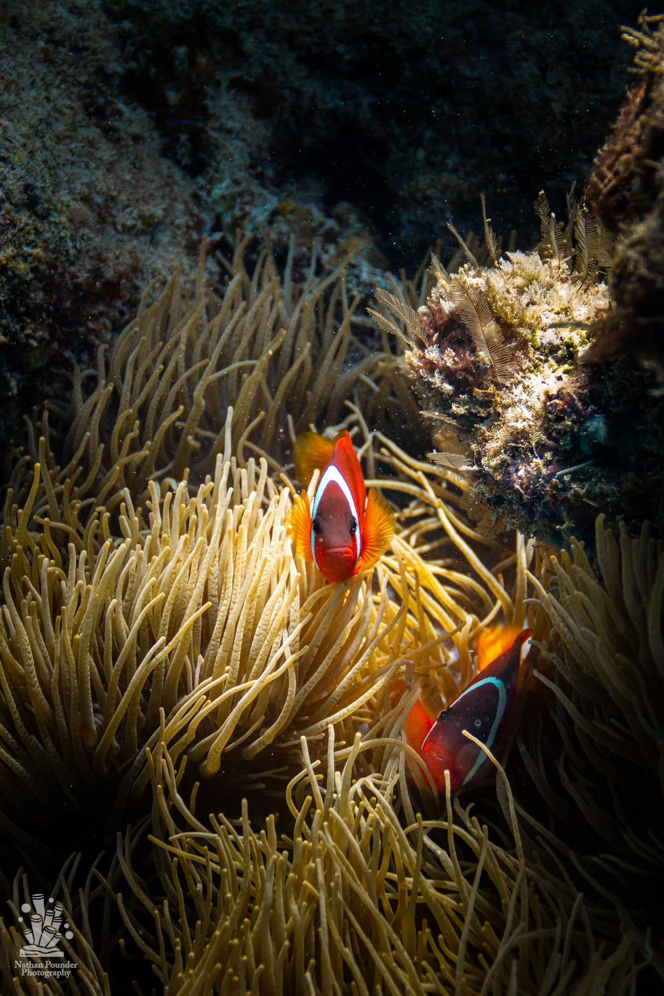 FIJI-174.jpg