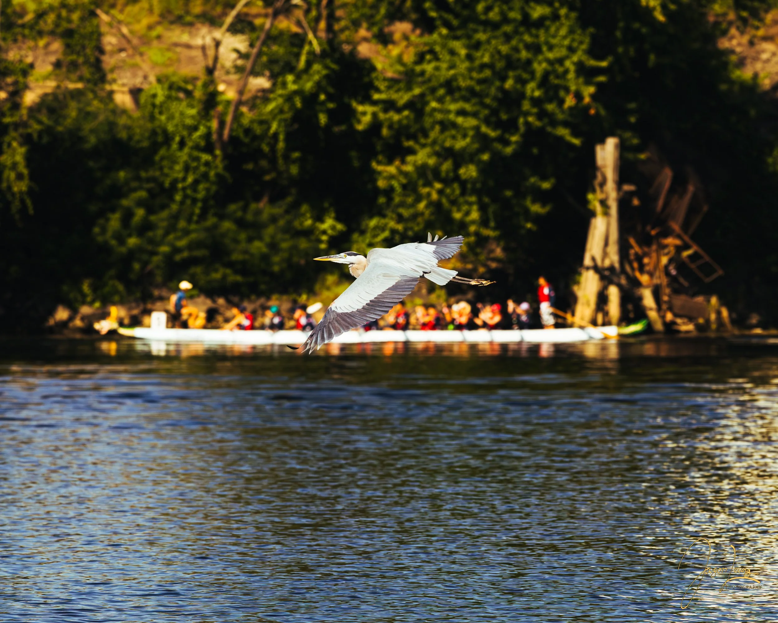 20260815 Dragonboat Race (1 of 1).jpg