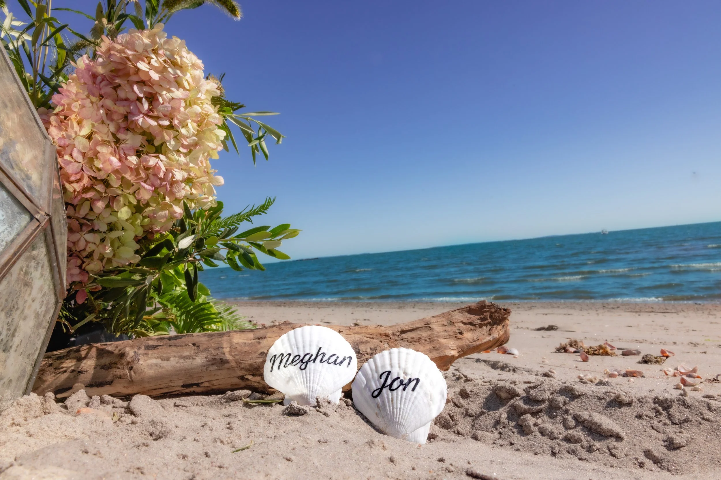 Beach scene with shells labeled 'Meghan' and 'Jon', driftwood, flowers, sand, ocean, and blue sky.