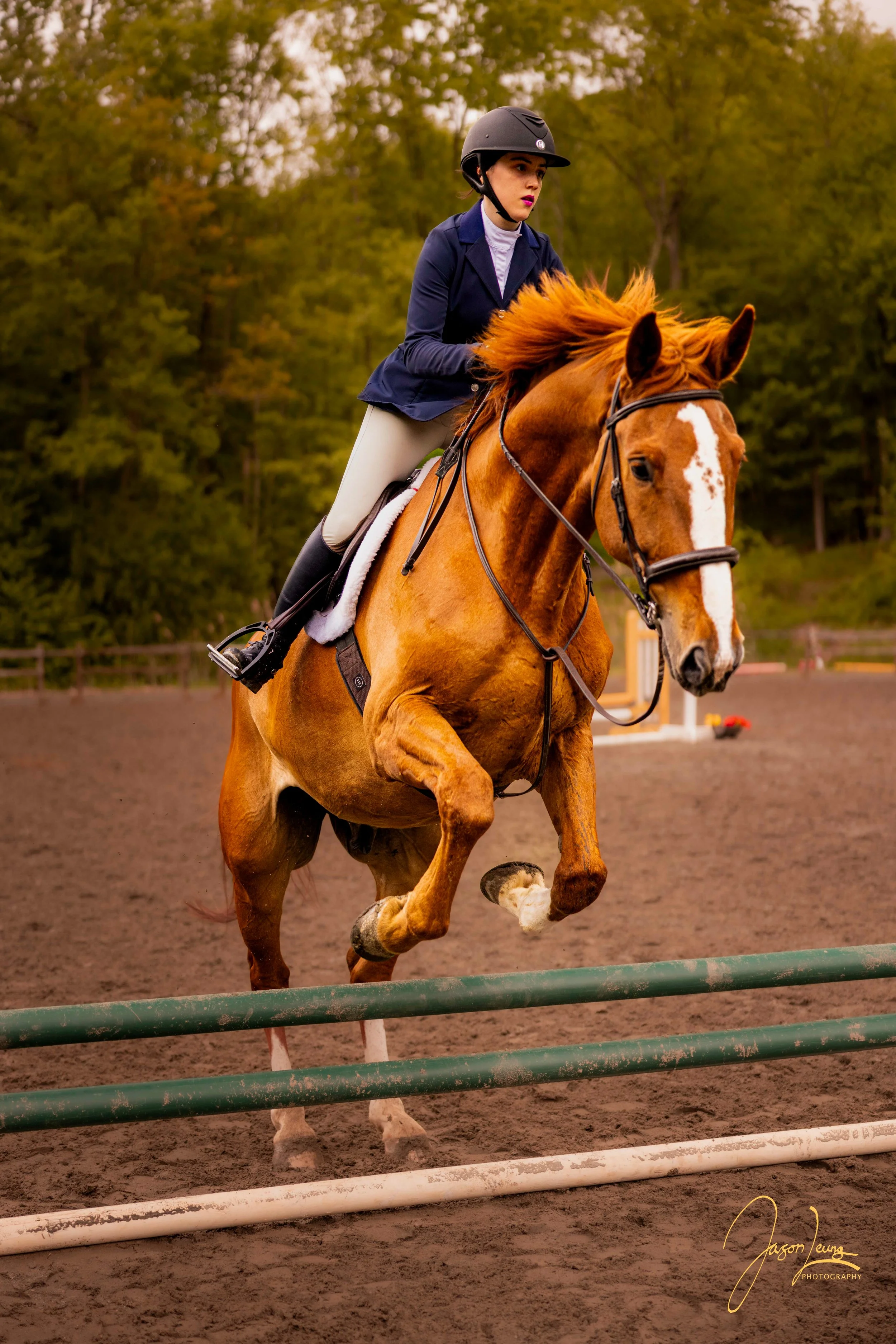 Portfolio 11132025 (4 of 5).jpg