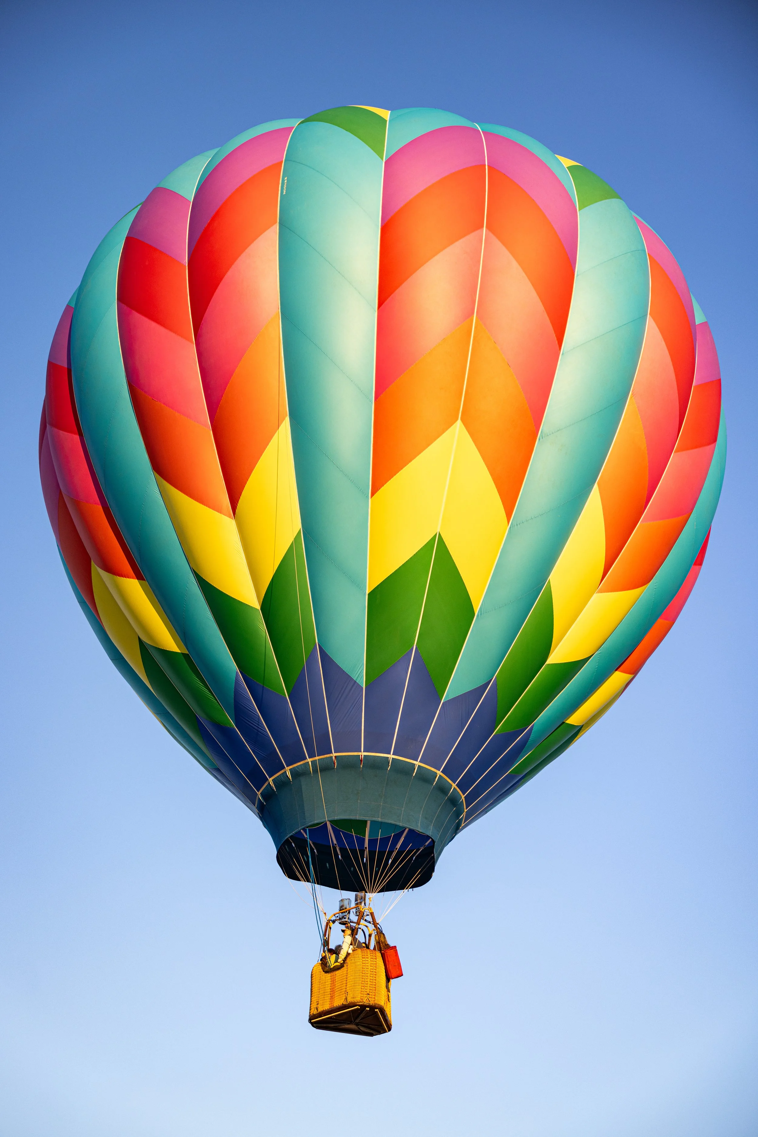 HotAirBalloonFestival08232025 (1 of 1)-18.jpg