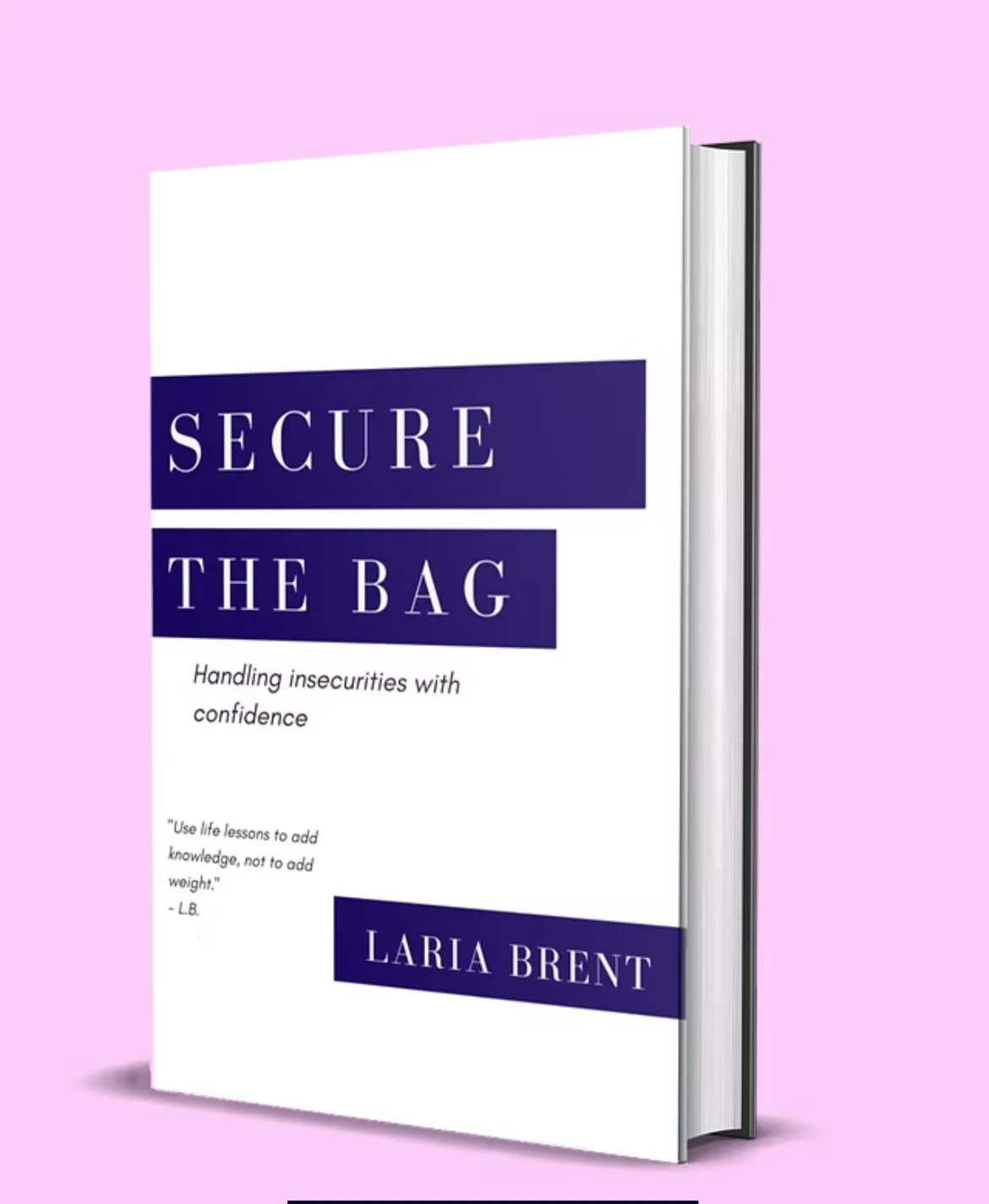 SecureThe bag Book.jpg