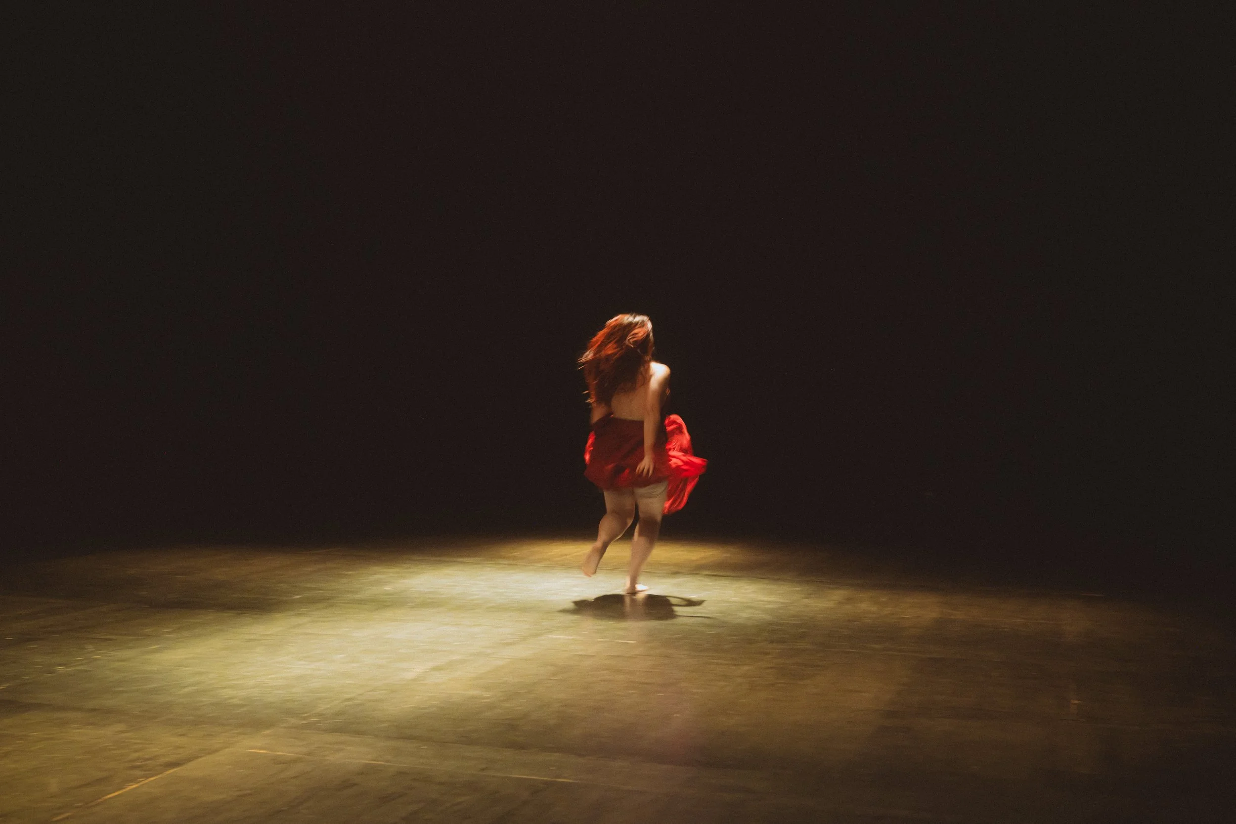 DISENSIONES  DE UN SOMA