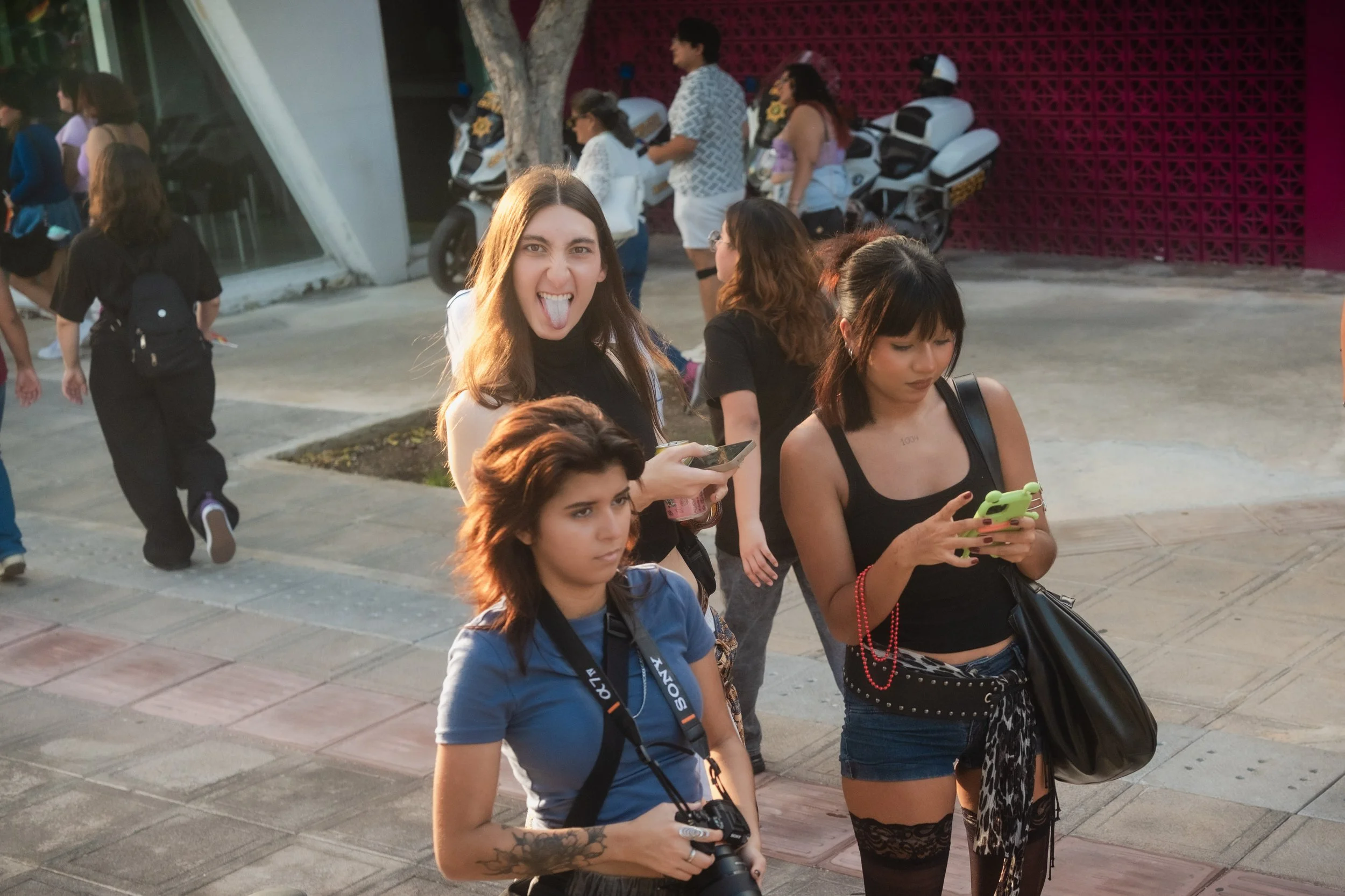 DSCF3951.jpg