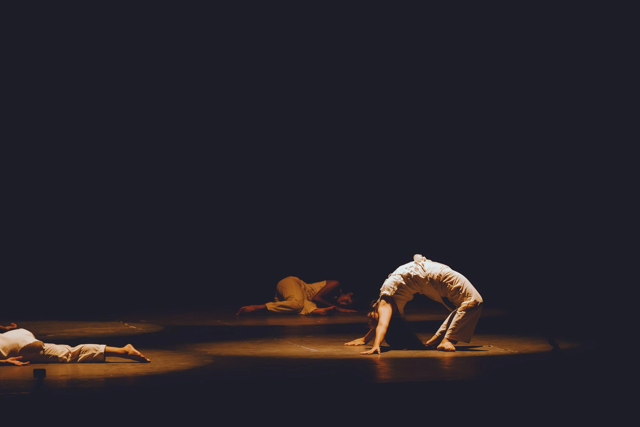 DSCF7141.jpg