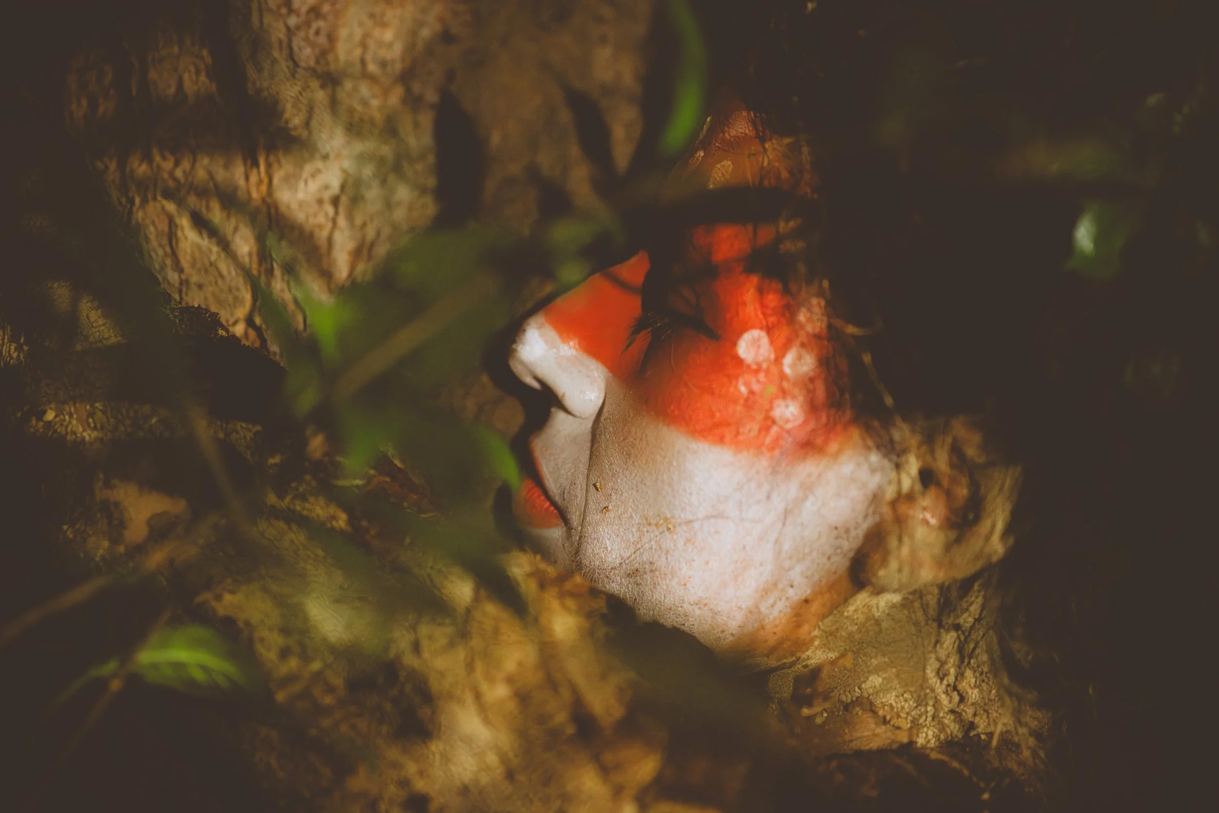 DSCF7441.jpg