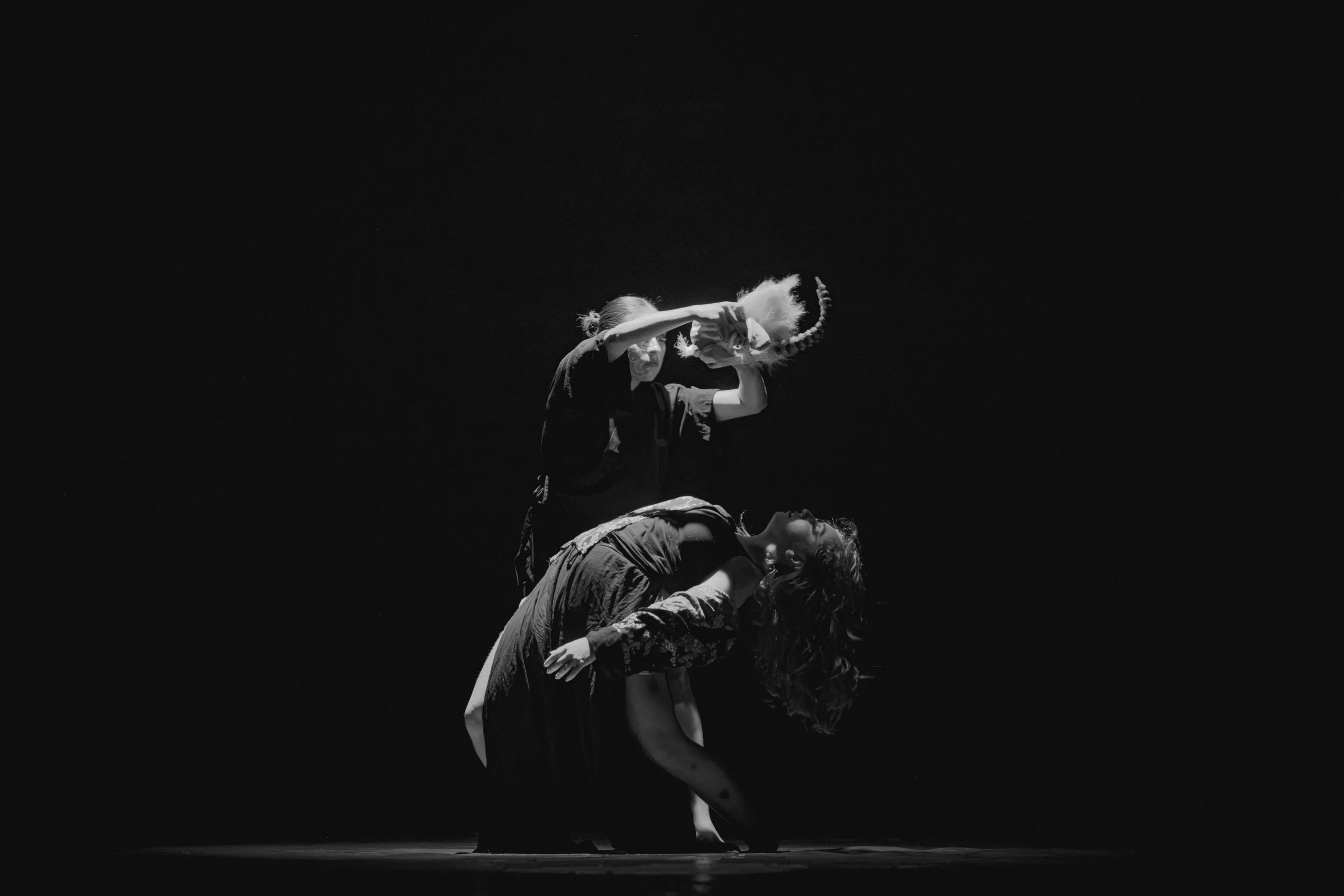DSCF6510.jpg