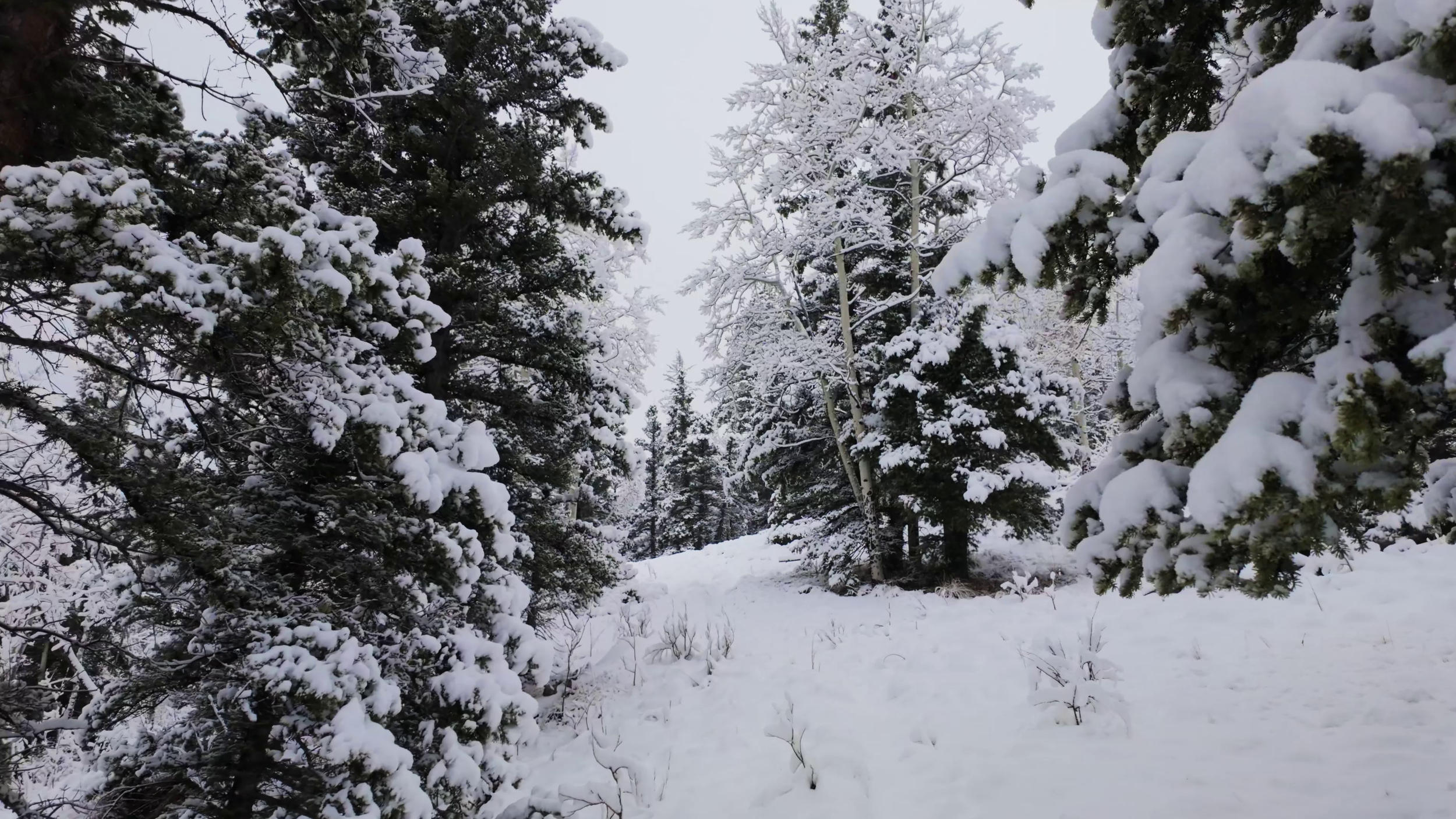 Rocky Mountains Hike, New Mexico, USA