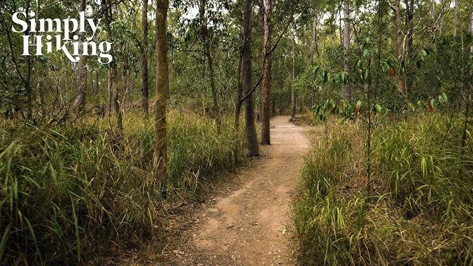 Whites Hill Bush Walk Australia