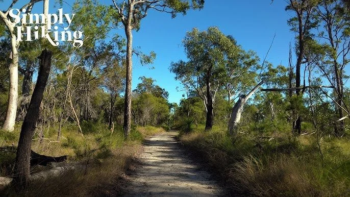 JC Trotter Loop Bush Walk Australia