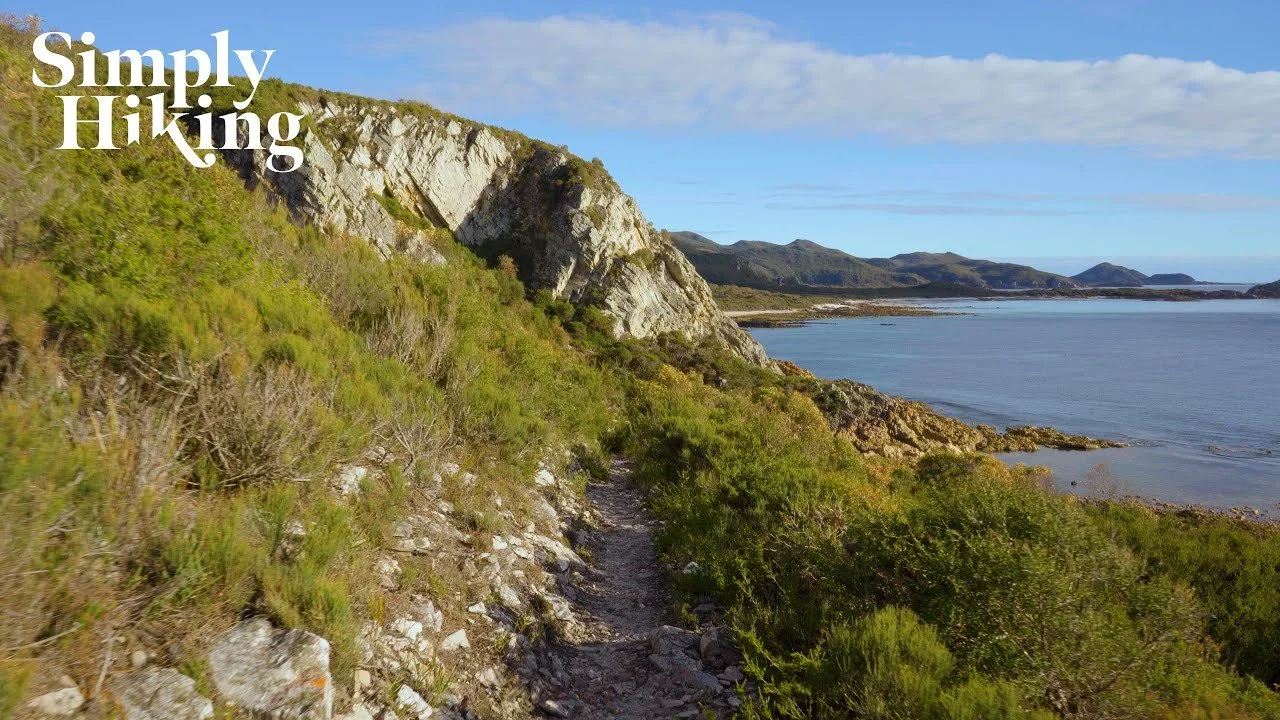 Banksia Grove Walk Tasmania